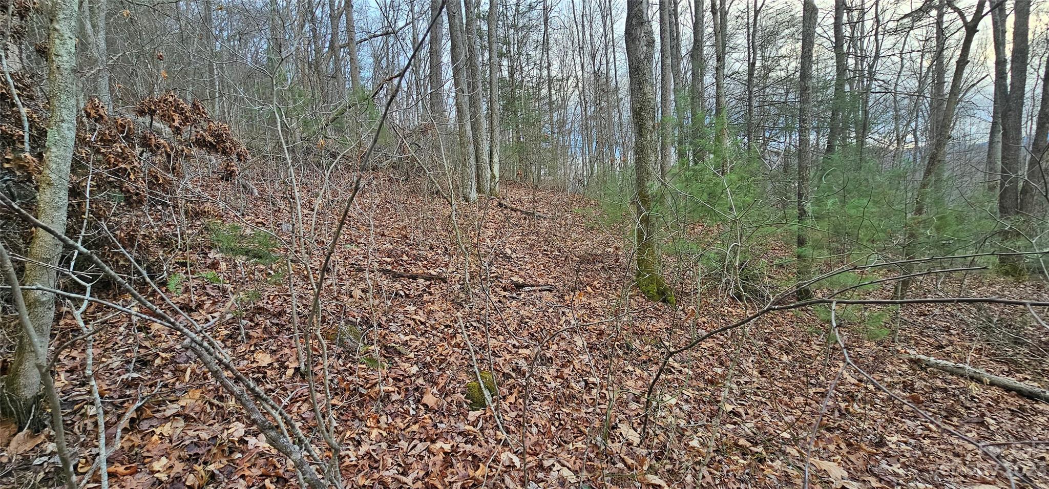 Lot 13 Seay Mountain Road Property Photo 10