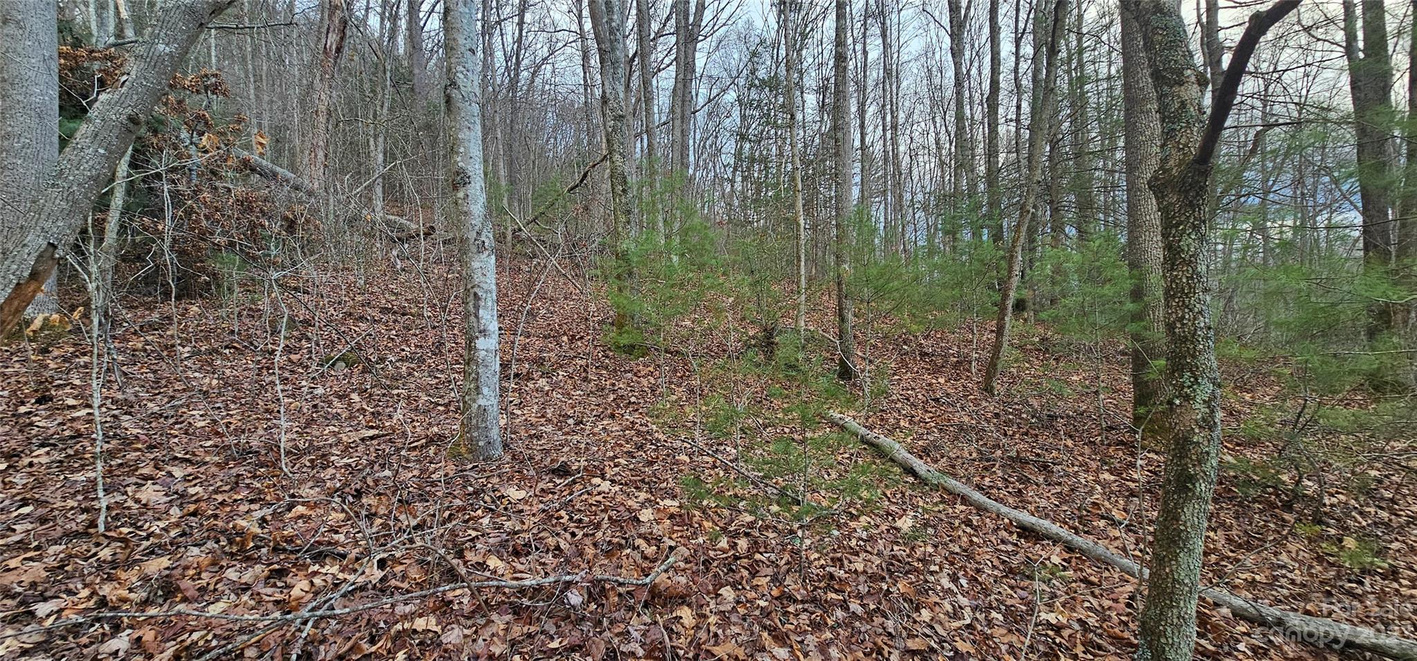 Lot 13 Seay Mountain Road Property Photo 11