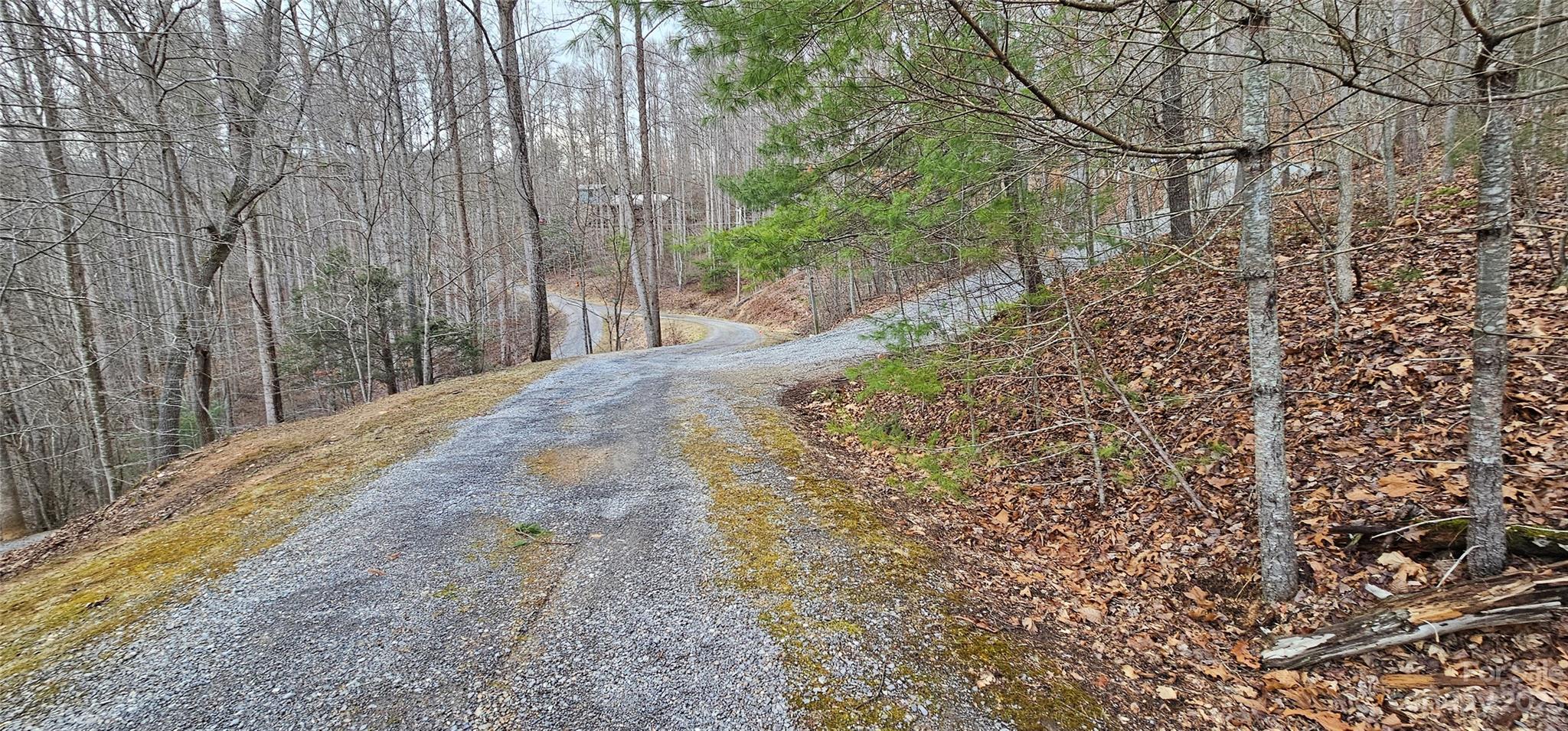 Lot 13 Seay Mountain Road Property Photo 12