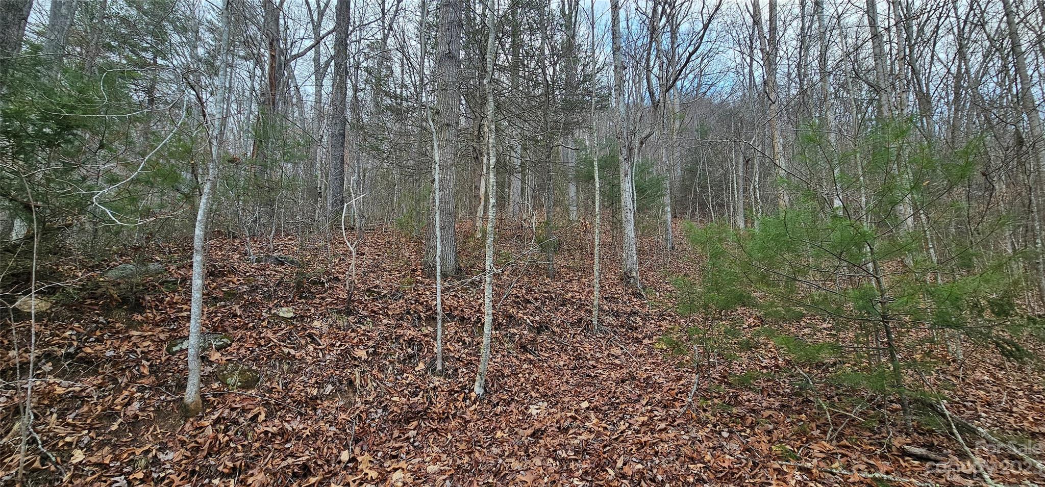 Lot 13 Seay Mountain Road Property Photo 14
