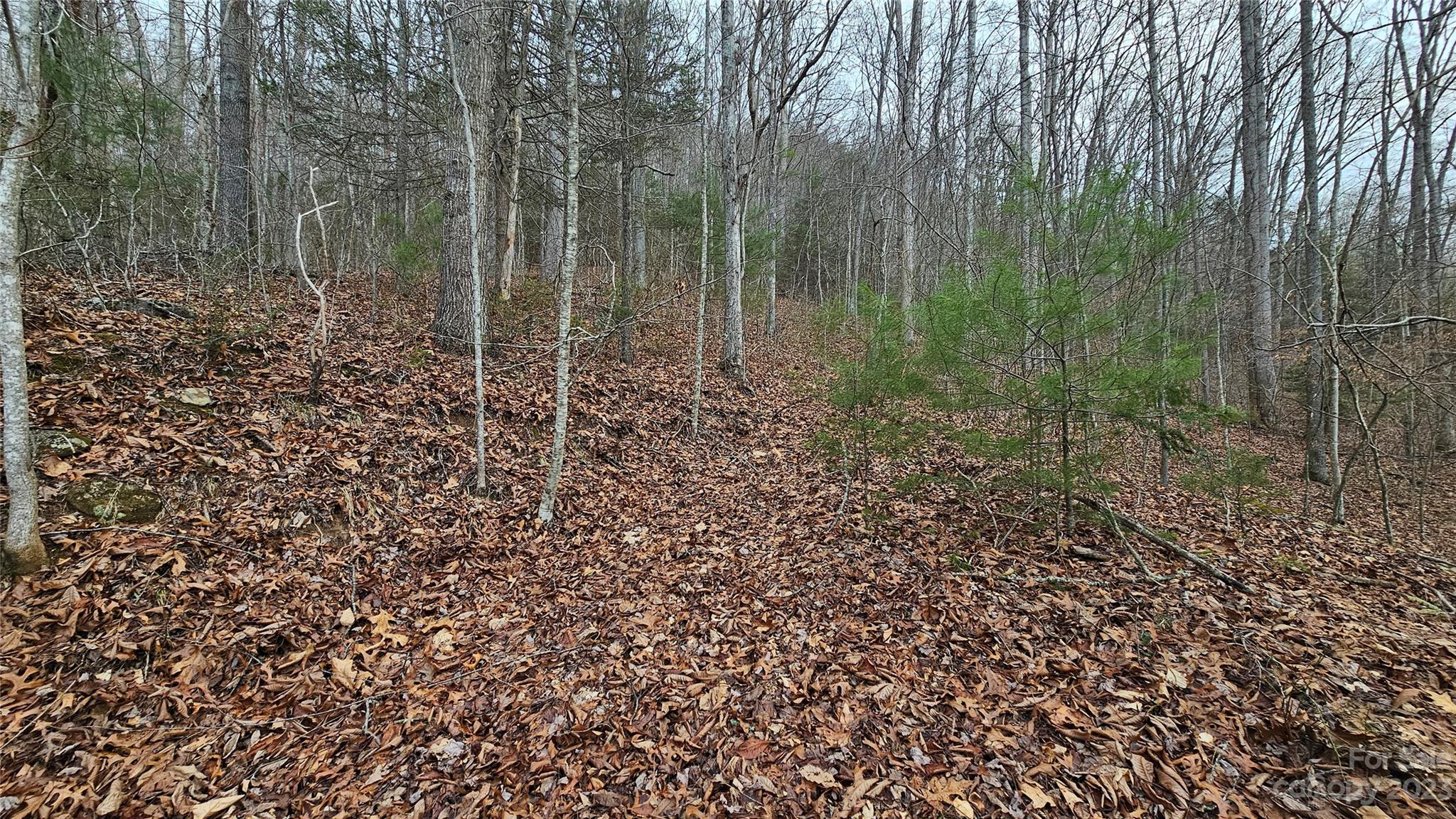 Lot 14 Seay Mountain Road Property Photo 2