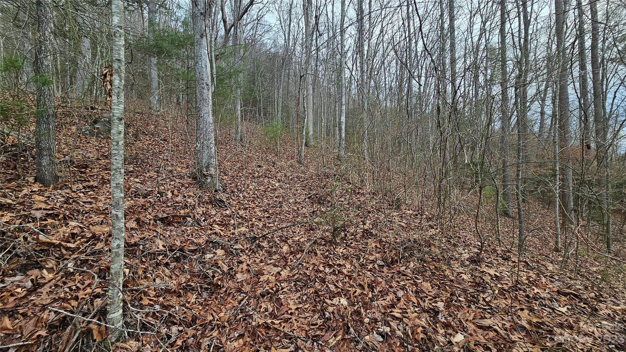 Lot 14 Seay Mountain Road Property Photo 3