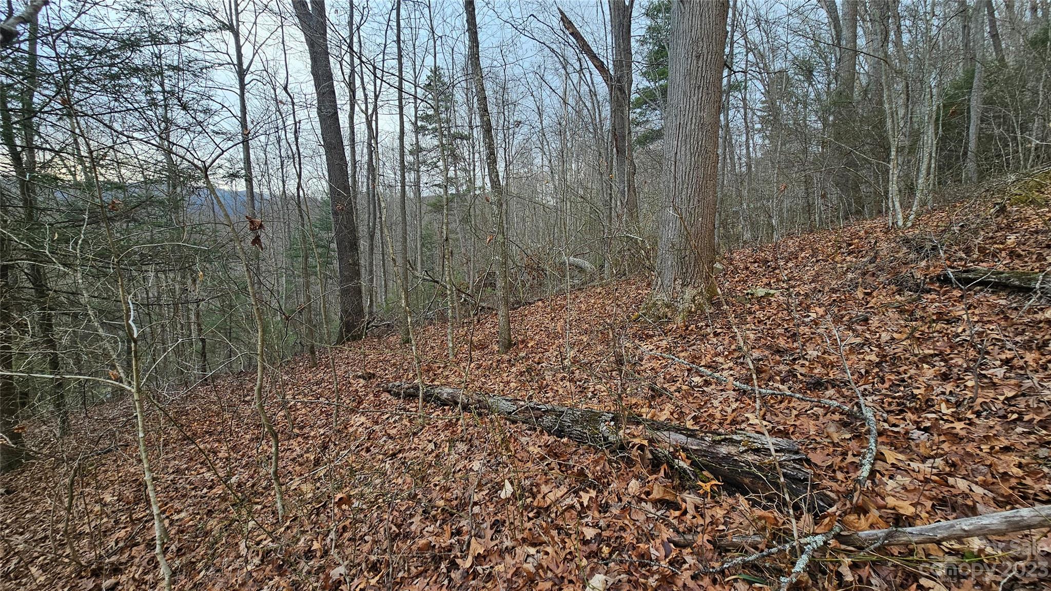 Lot 14 Seay Mountain Road Property Photo 4