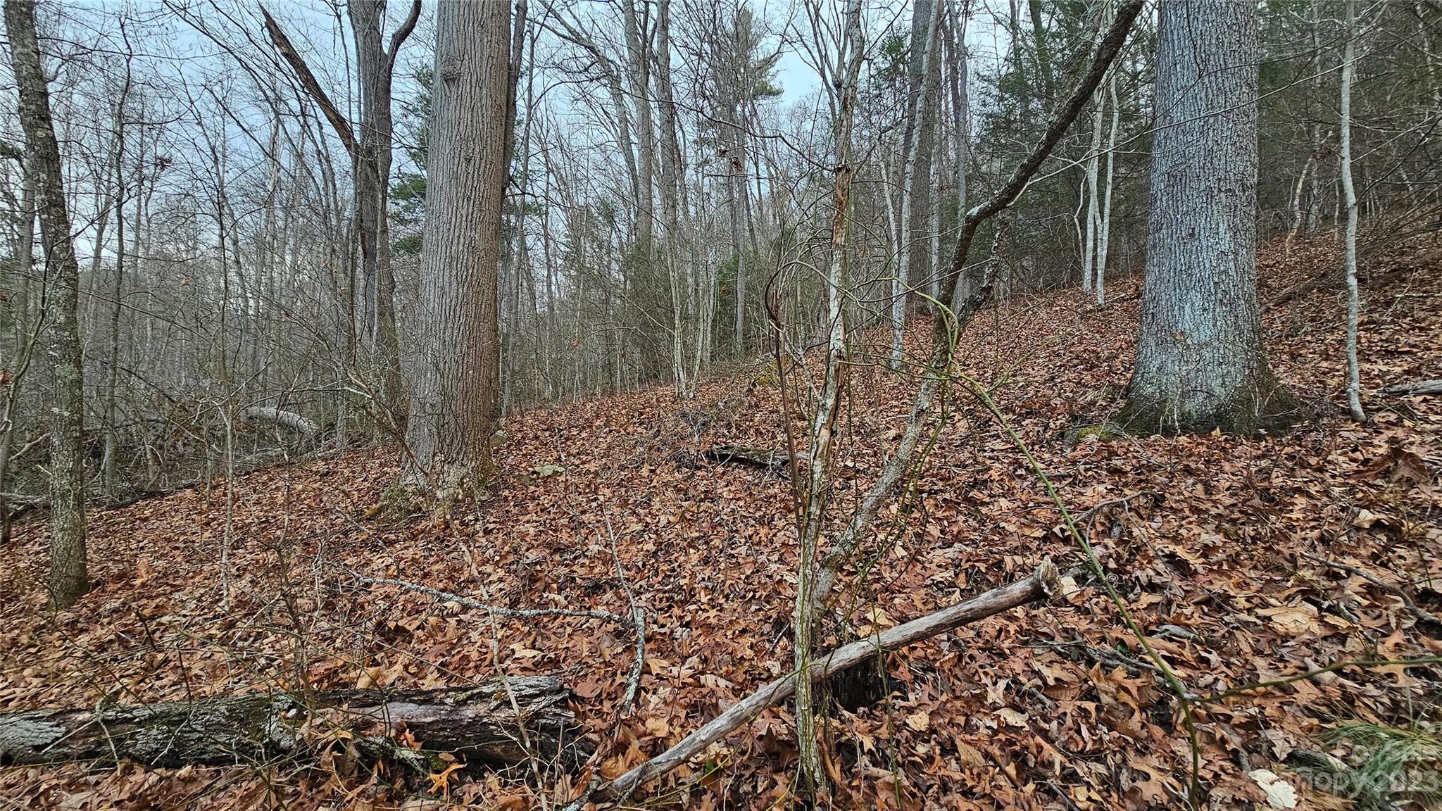 Lot 14 Seay Mountain Road Property Photo 5