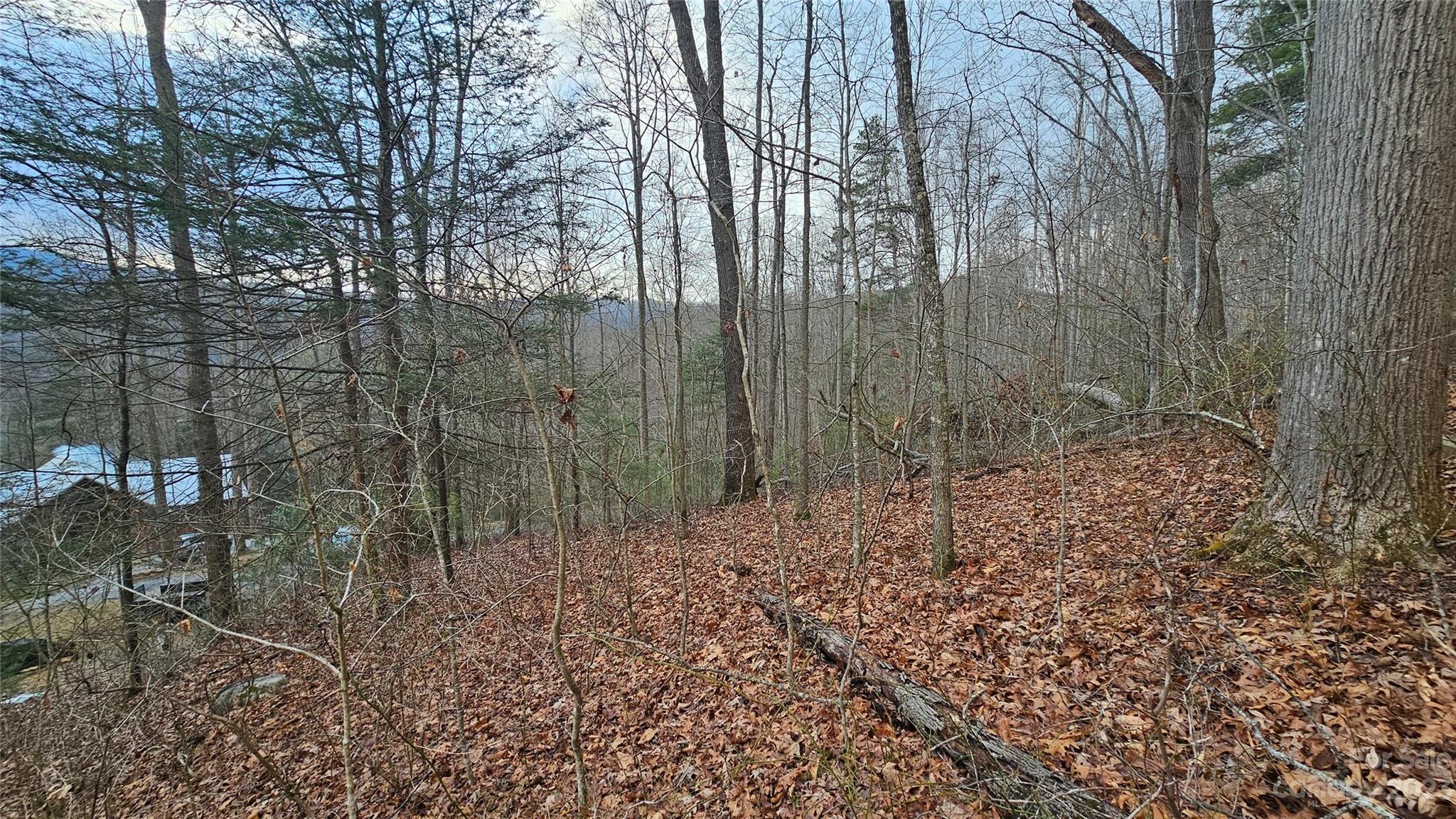 Lot 14 Seay Mountain Road Property Photo 6