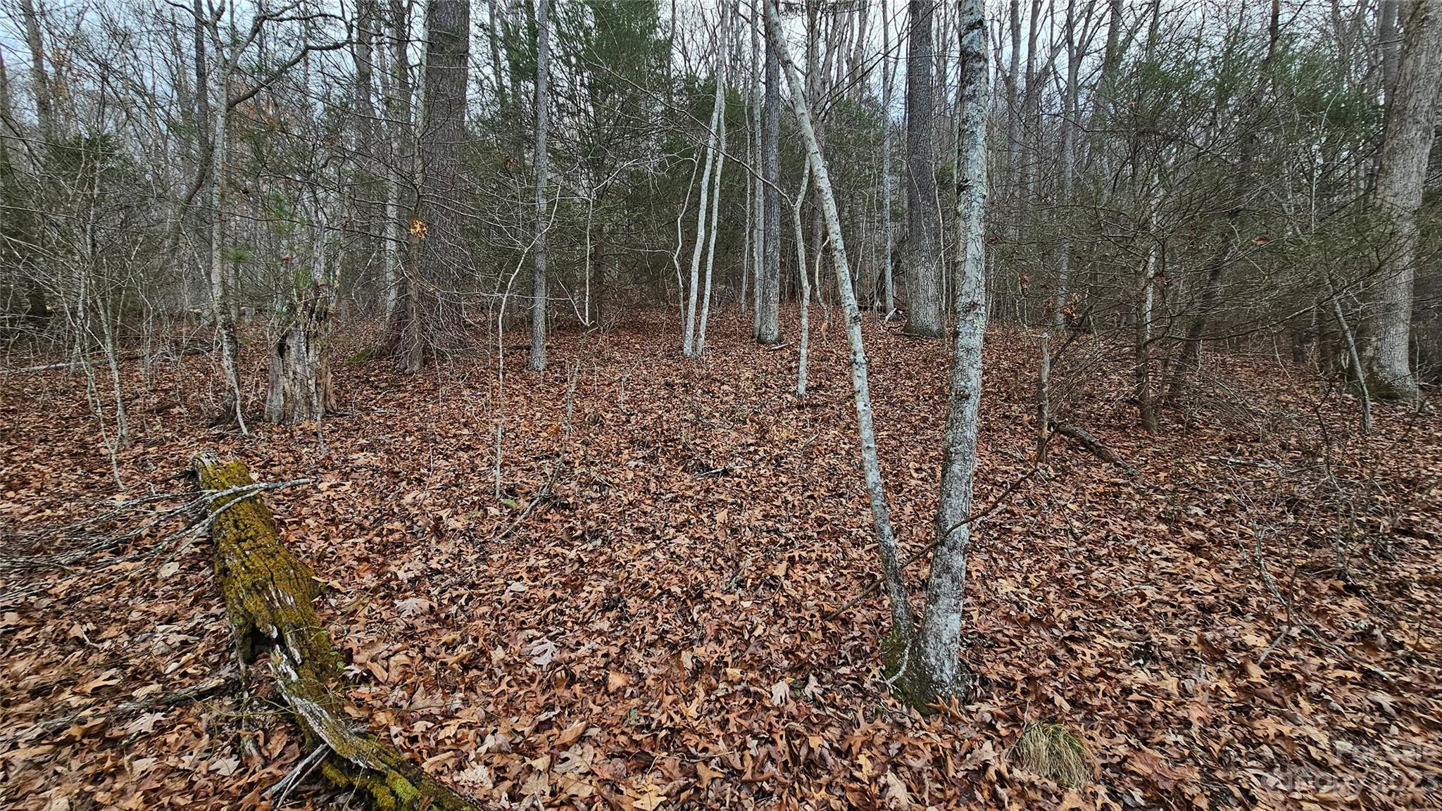 Lot 14 Seay Mountain Road Property Photo 7