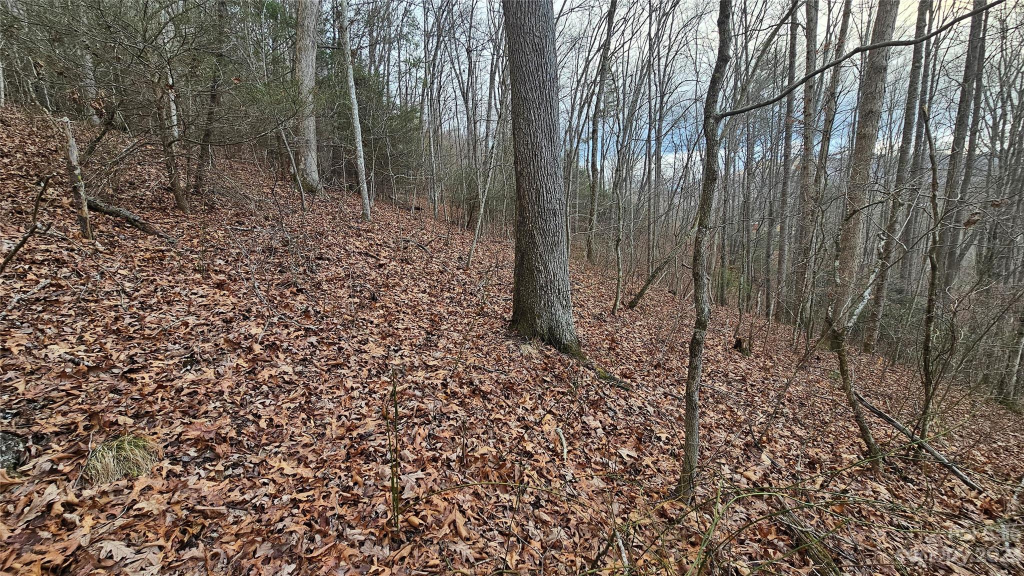 Lot 14 Seay Mountain Road Property Photo 8