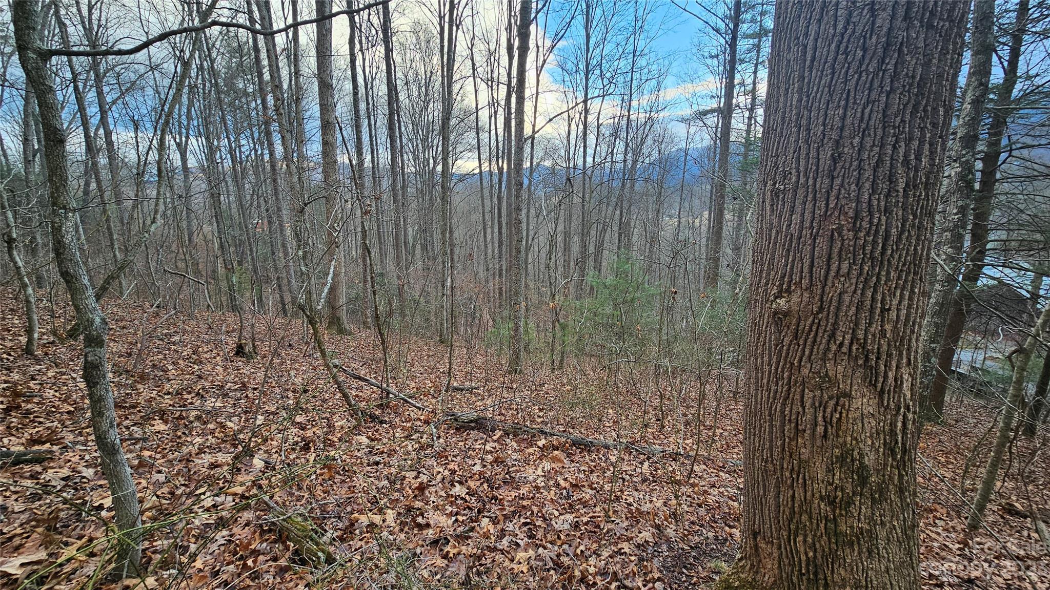 Lot 14 Seay Mountain Road Property Photo 9
