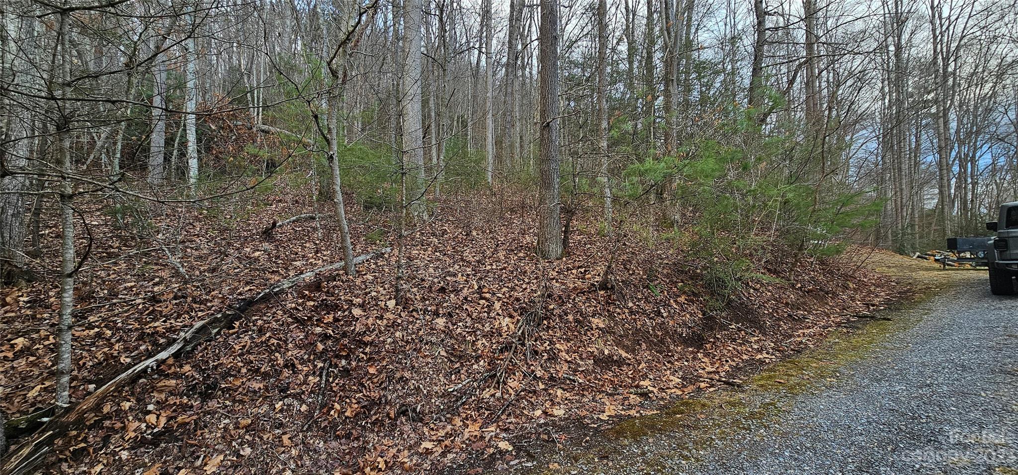 4 Lots Seay Mountain Road Property Photo 2