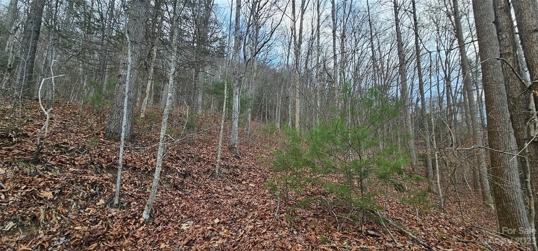 4 Lots Seay Mountain Road Property Photo 3