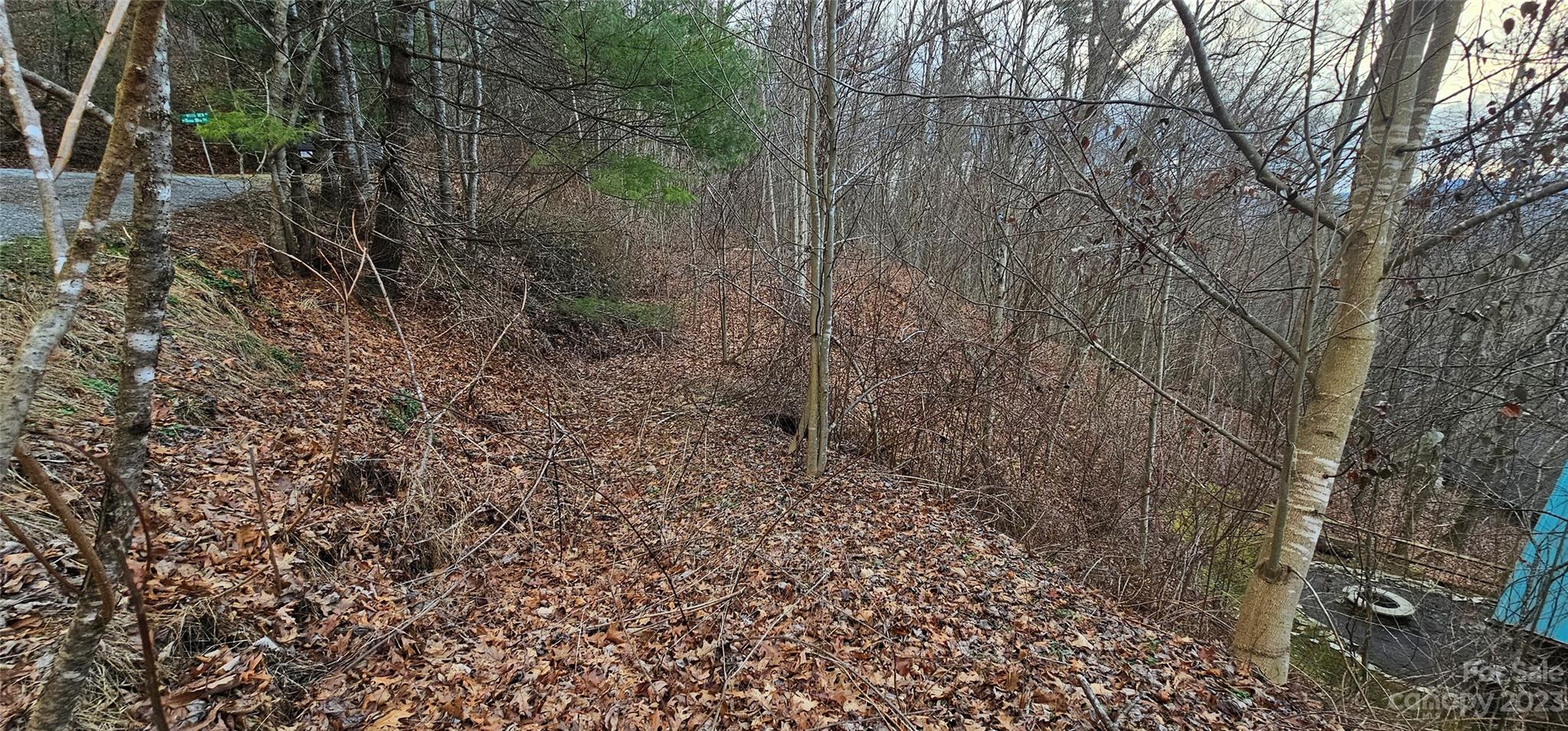 4 Lots Seay Mountain Road Property Photo 4