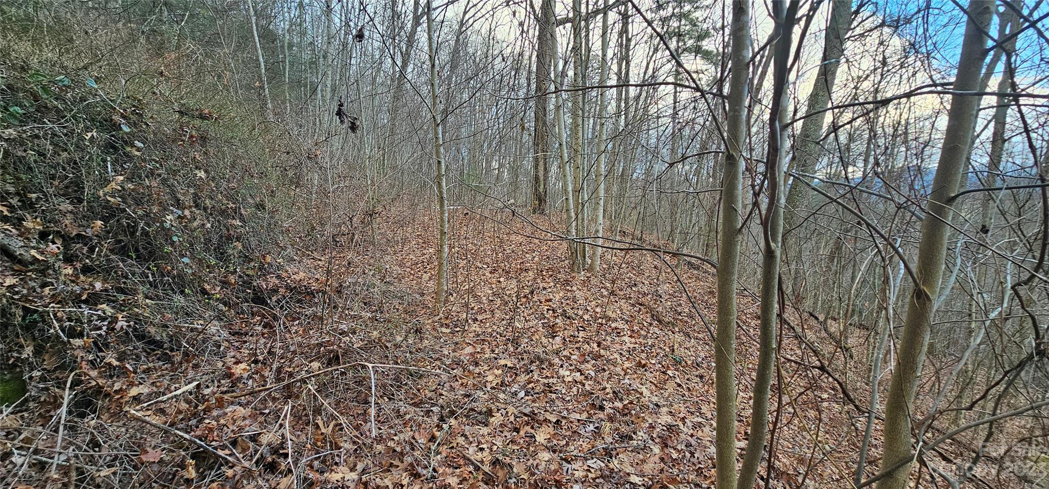 4 Lots Seay Mountain Road Property Photo 5