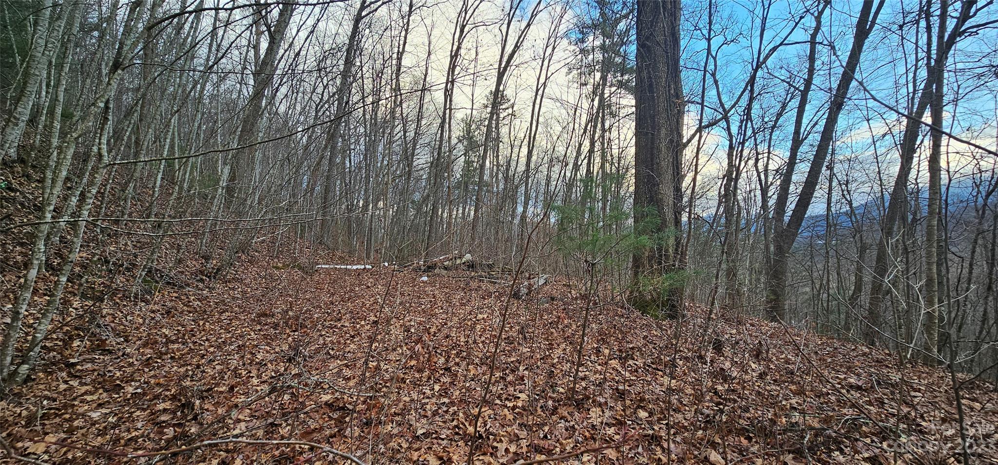 4 Lots Seay Mountain Road Property Photo 6