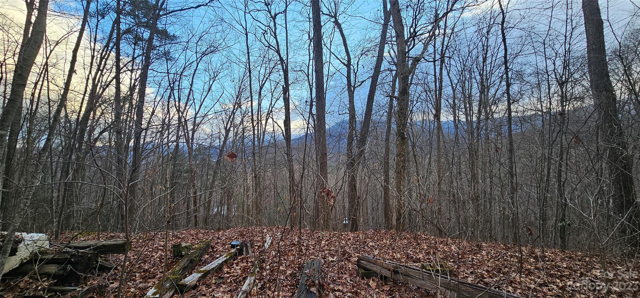 4 Lots Seay Mountain Road Property Photo 7