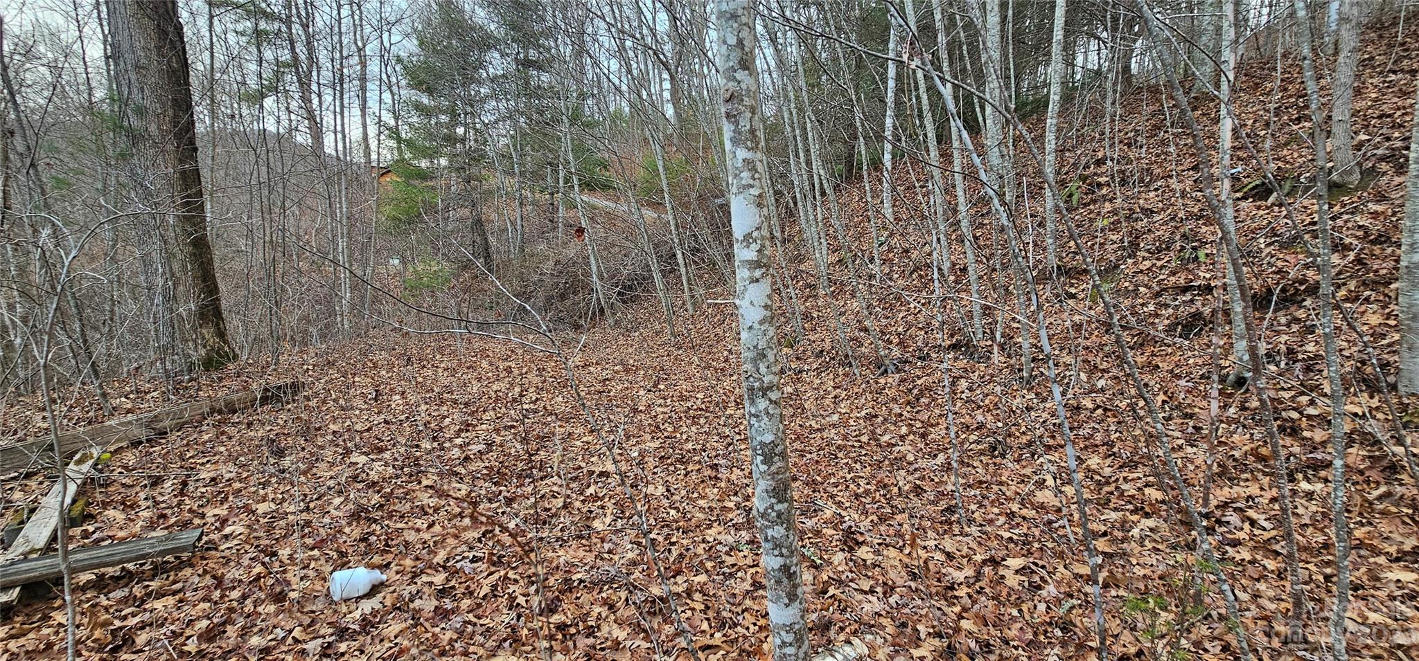 4 Lots Seay Mountain Road Property Photo 8