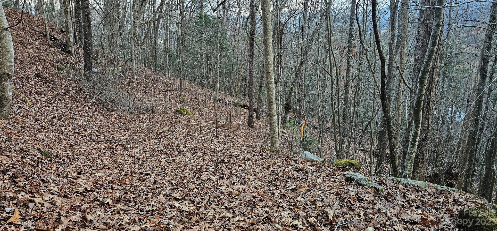 4 Lots Seay Mountain Road Property Photo 9