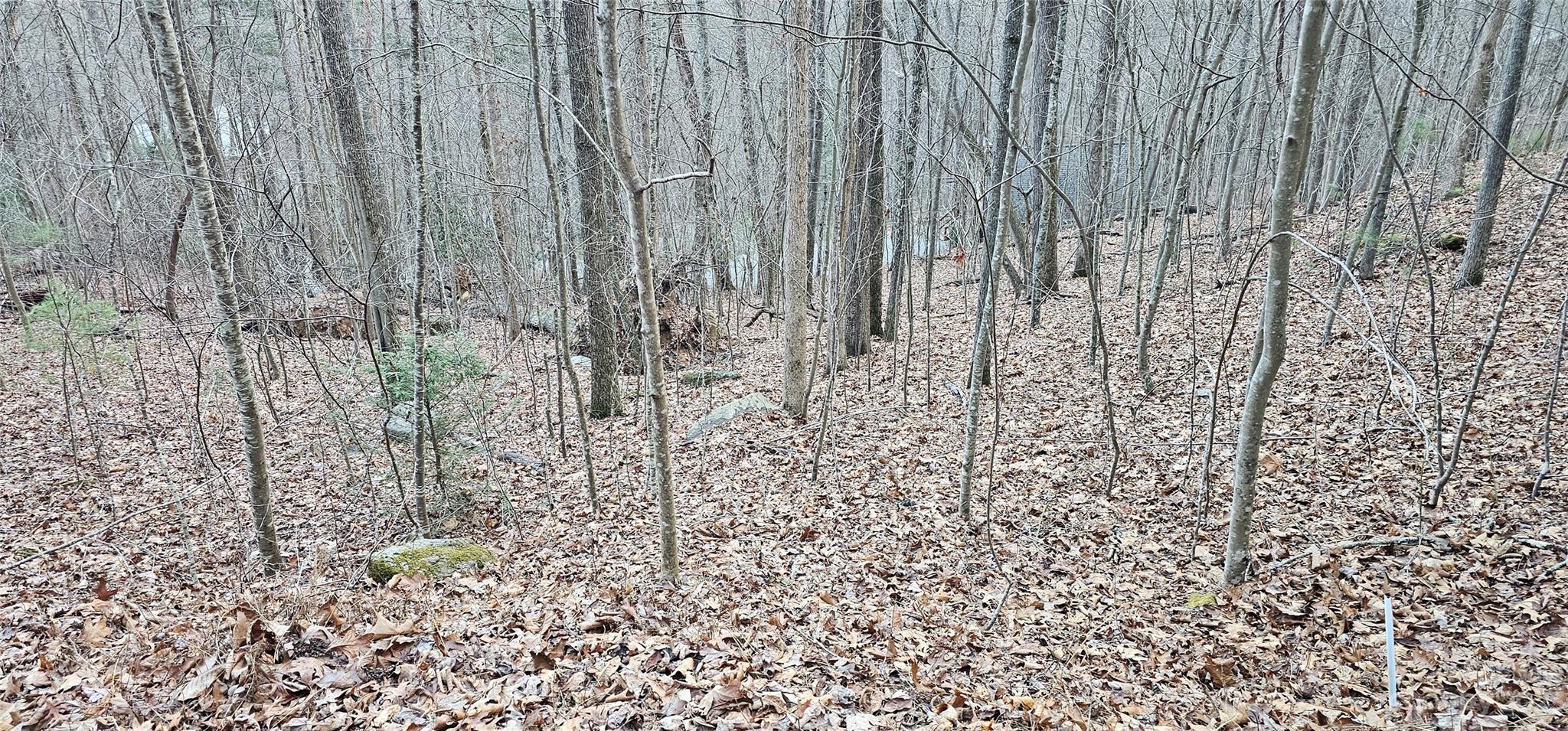 4 Lots Seay Mountain Road Property Photo 10