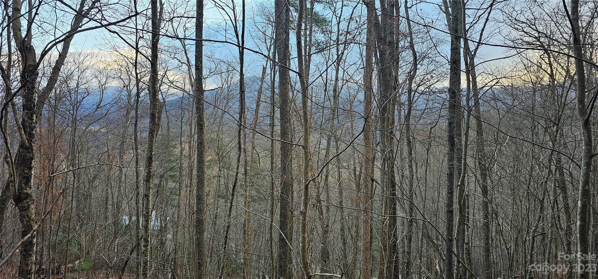 4 Lots Seay Mountain Road Property Photo 11