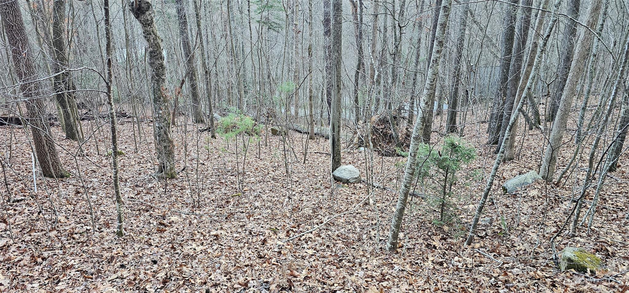 4 Lots Seay Mountain Road Property Photo 12