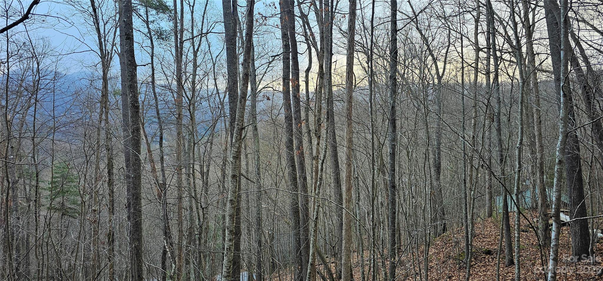 4 Lots Seay Mountain Road Property Photo 13