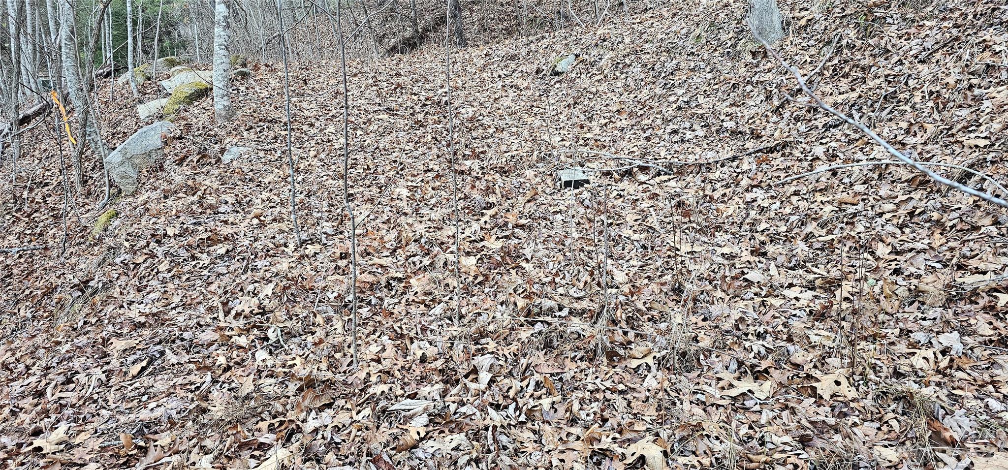 4 Lots Seay Mountain Road Property Photo 14