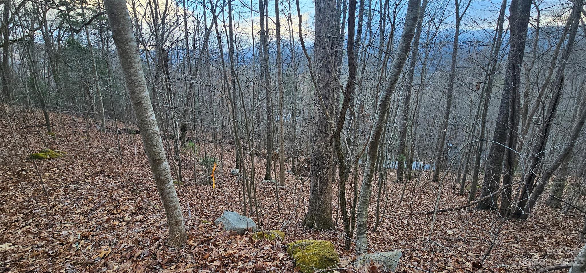 4 Lots Seay Mountain Road Property Photo 15