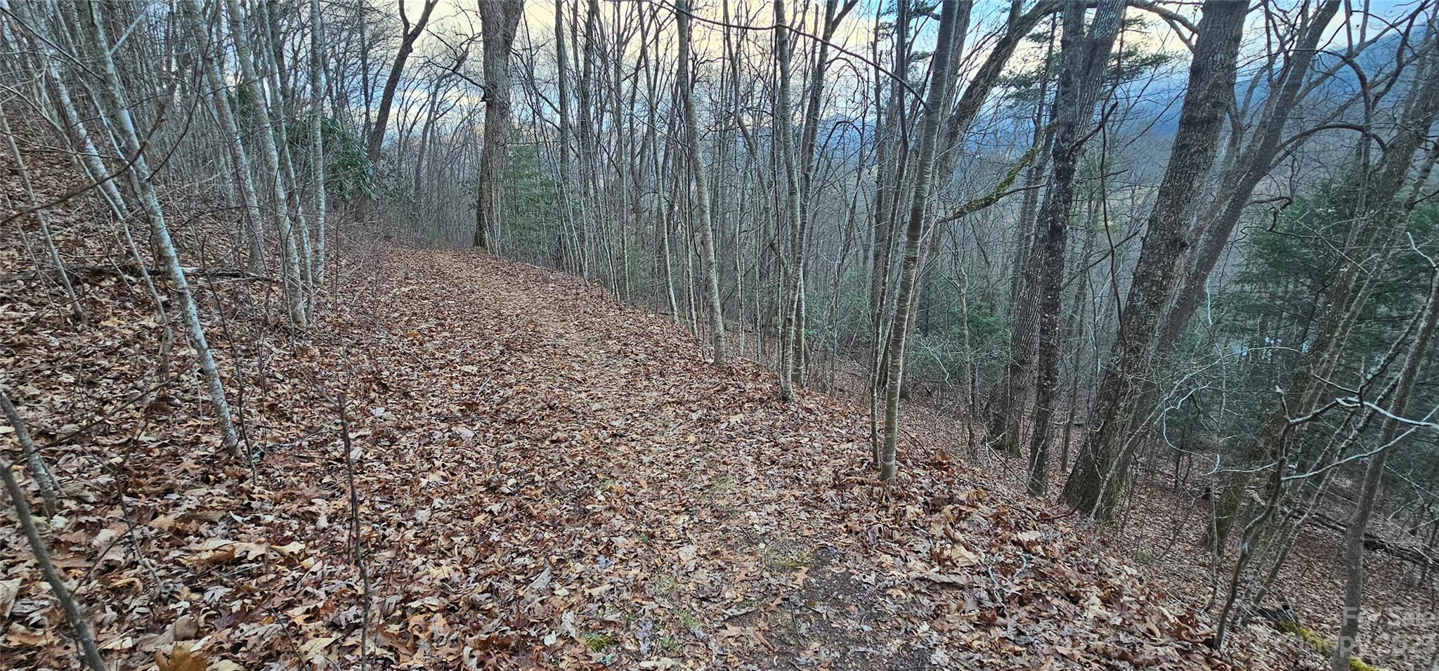 4 Lots Seay Mountain Road Property Photo 16