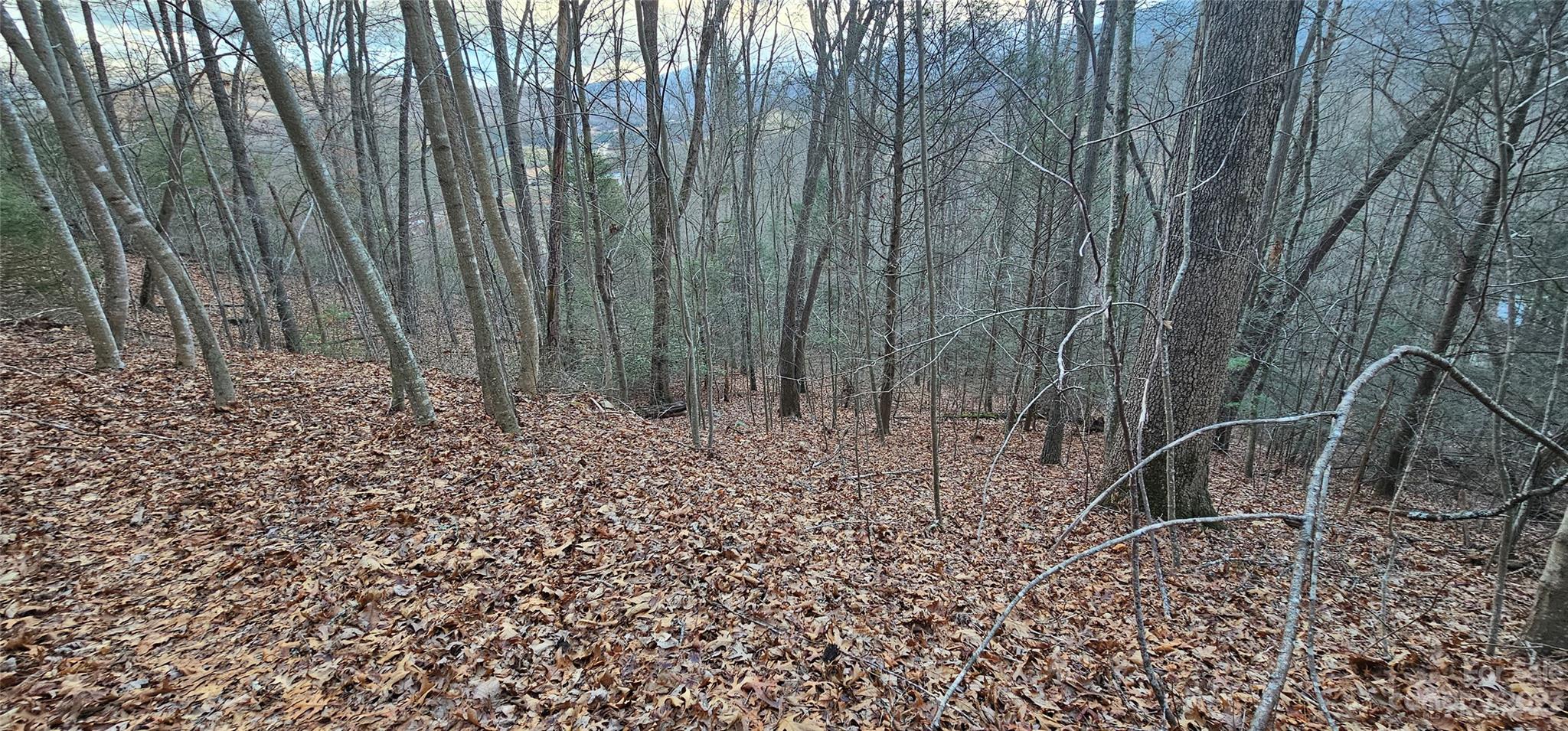 4 Lots Seay Mountain Road Property Photo 17