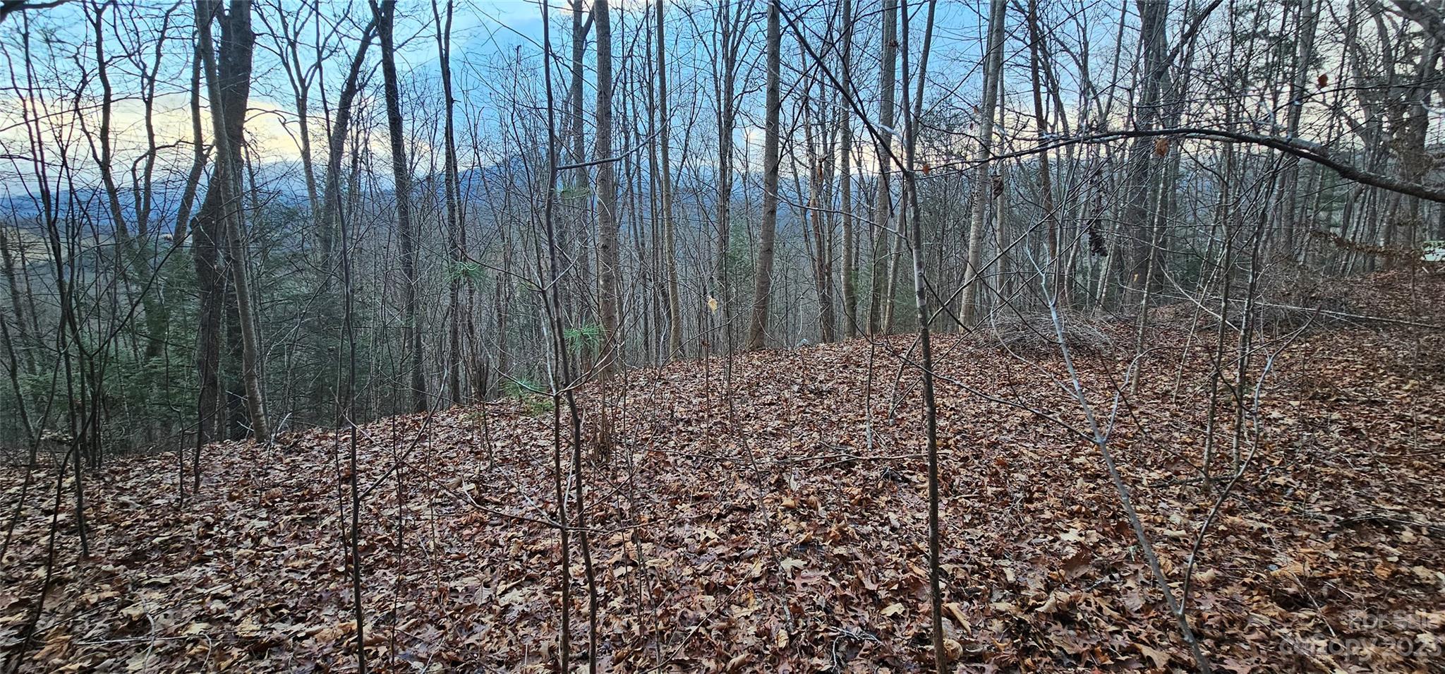 4 Lots Seay Mountain Road Property Photo 22