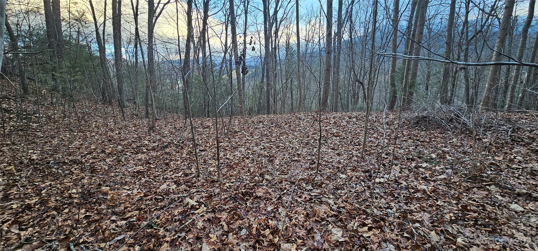 4 Lots Seay Mountain Road Property Photo 25