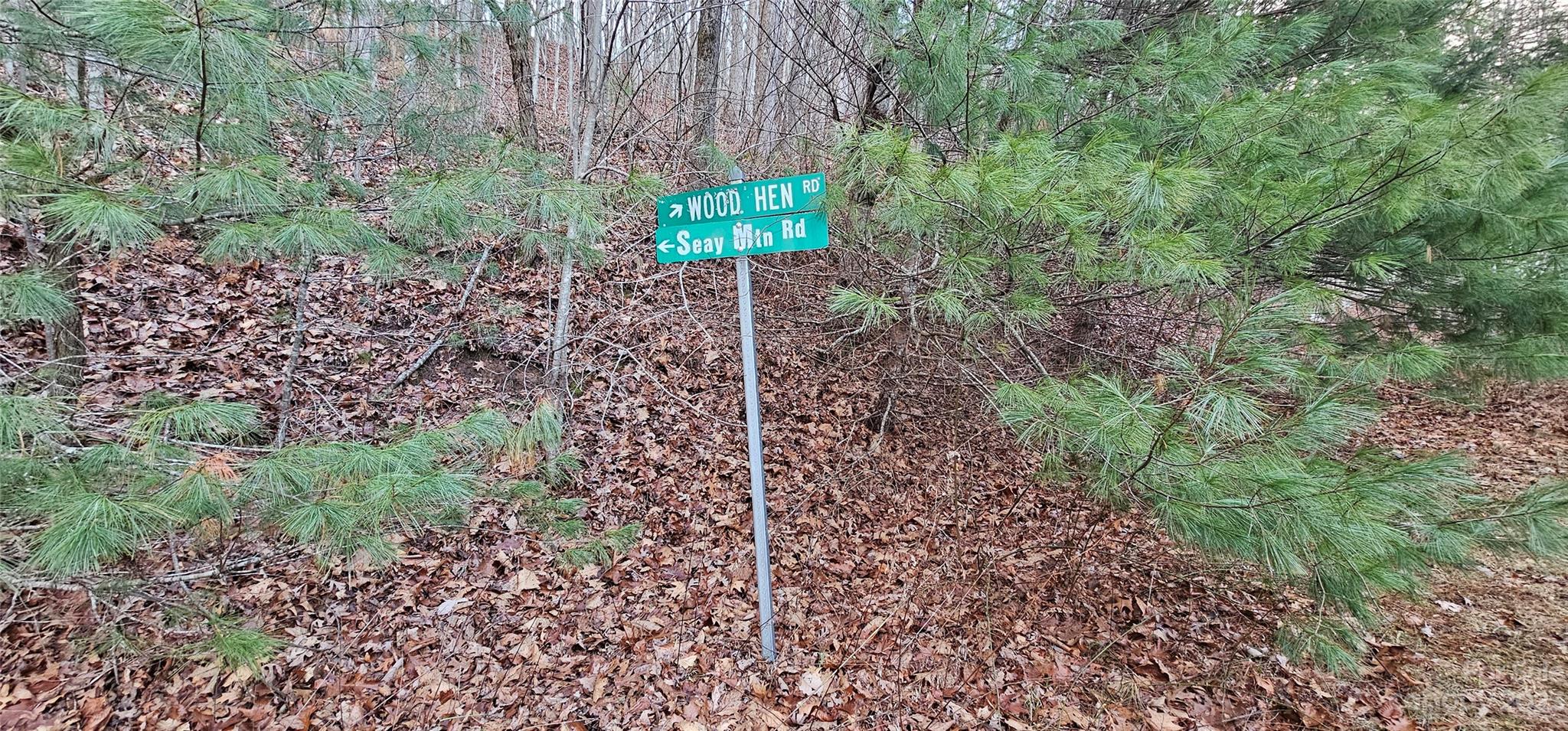 4 Lots Seay Mountain Road Property Photo 26