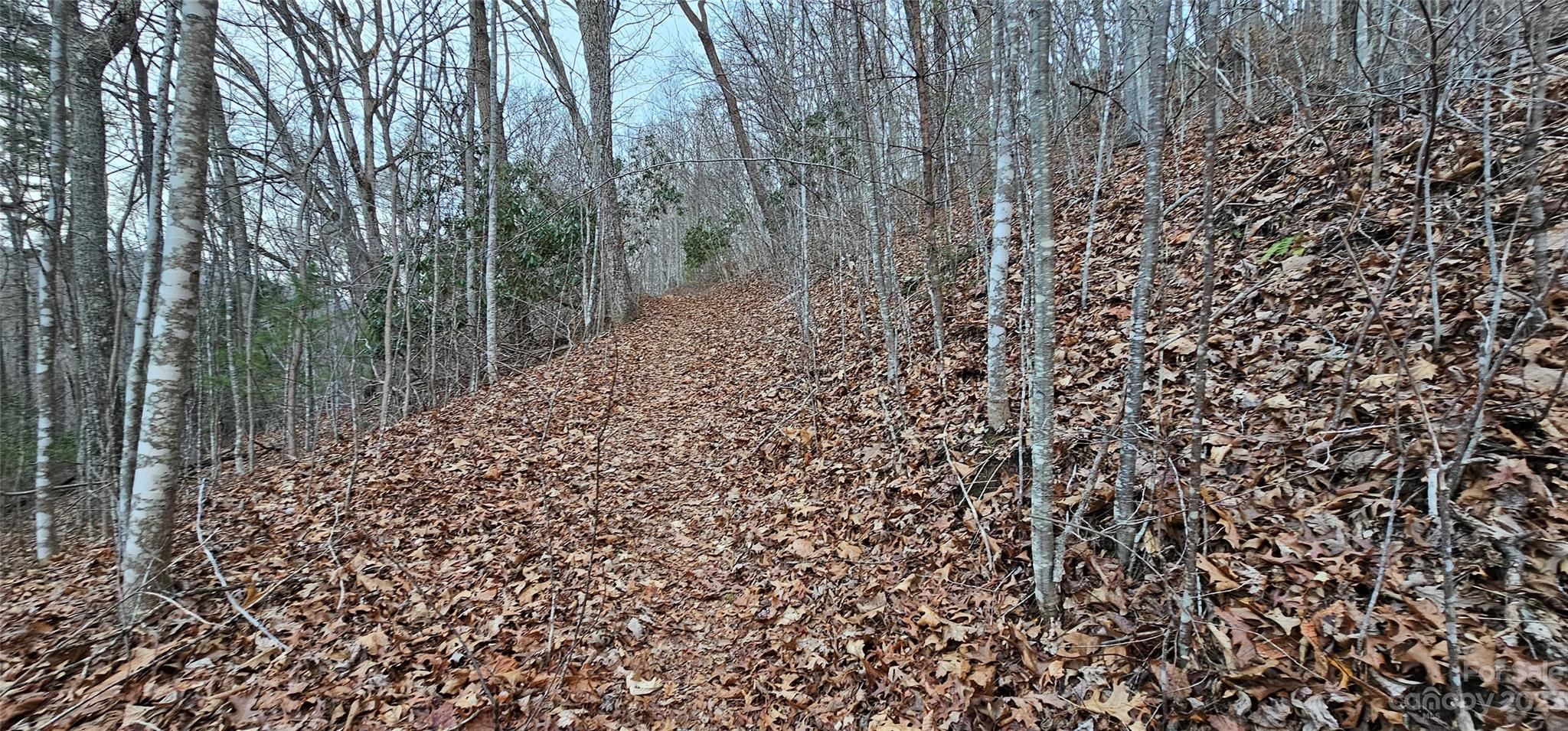 4 Lots Seay Mountain Road Property Photo 30