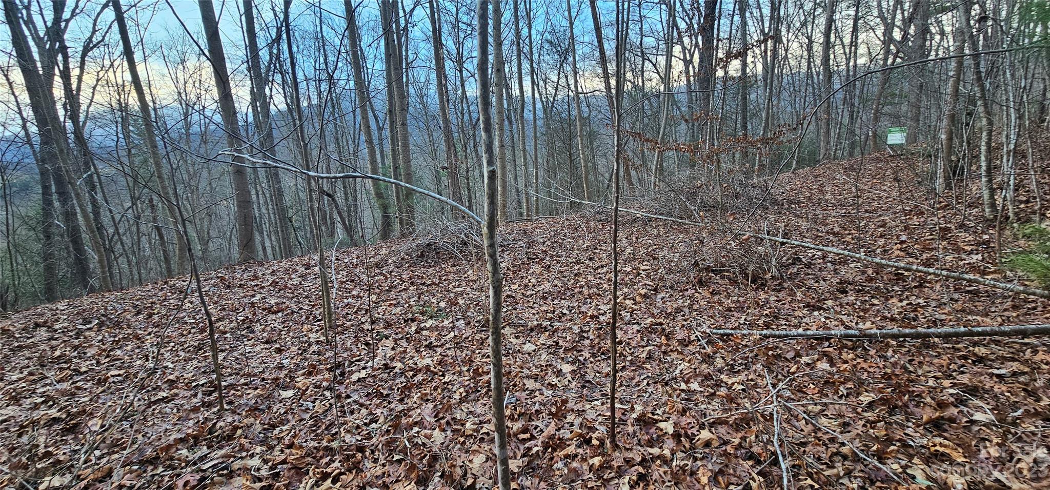 4 Lots Seay Mountain Road Property Photo 31