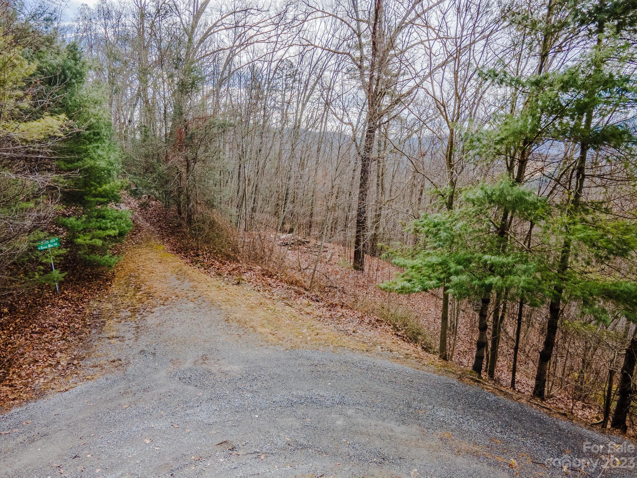 4 Lots Seay Mountain Road Property Photo 35