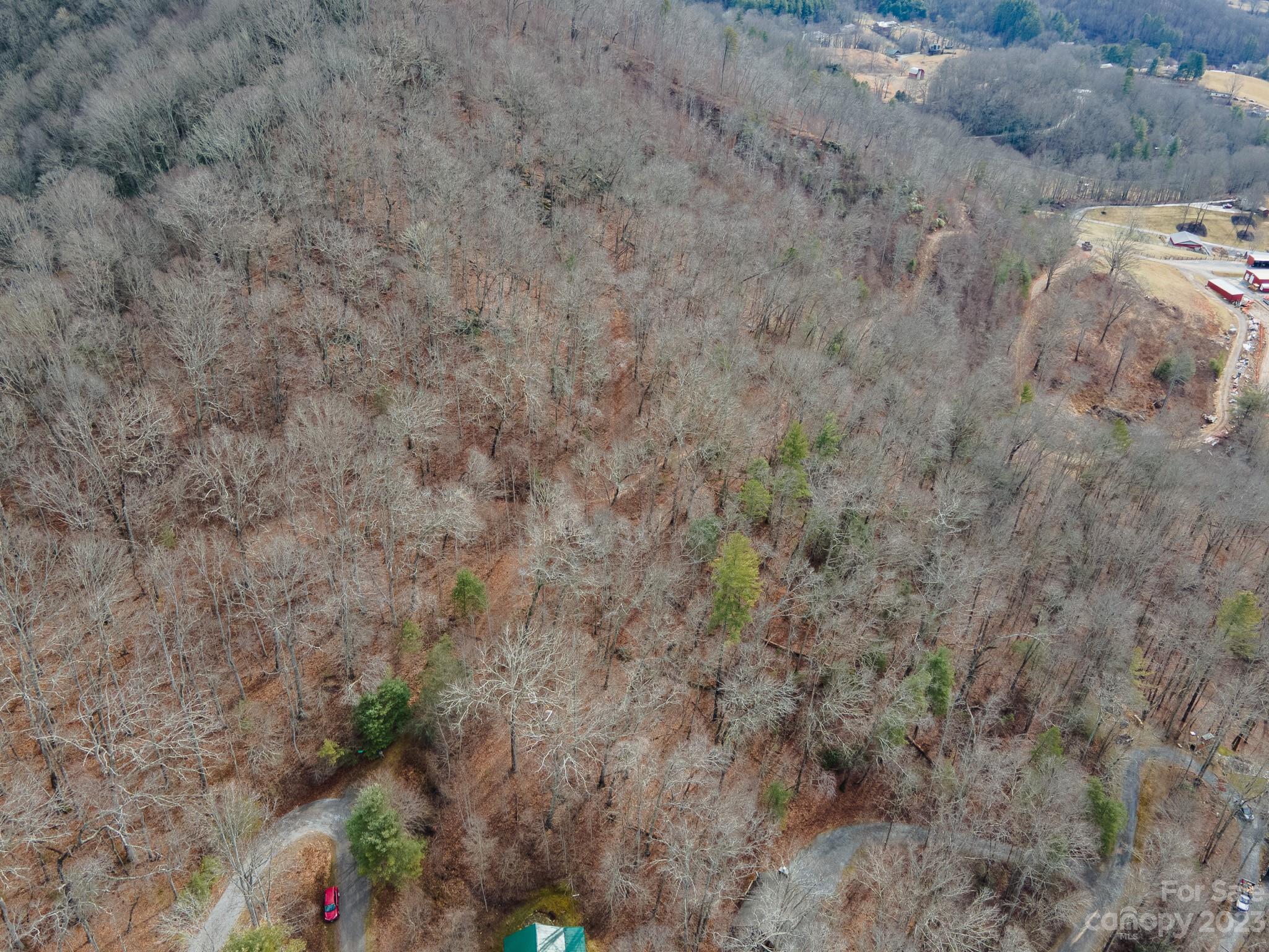 4 Lots Seay Mountain Road Property Photo 37