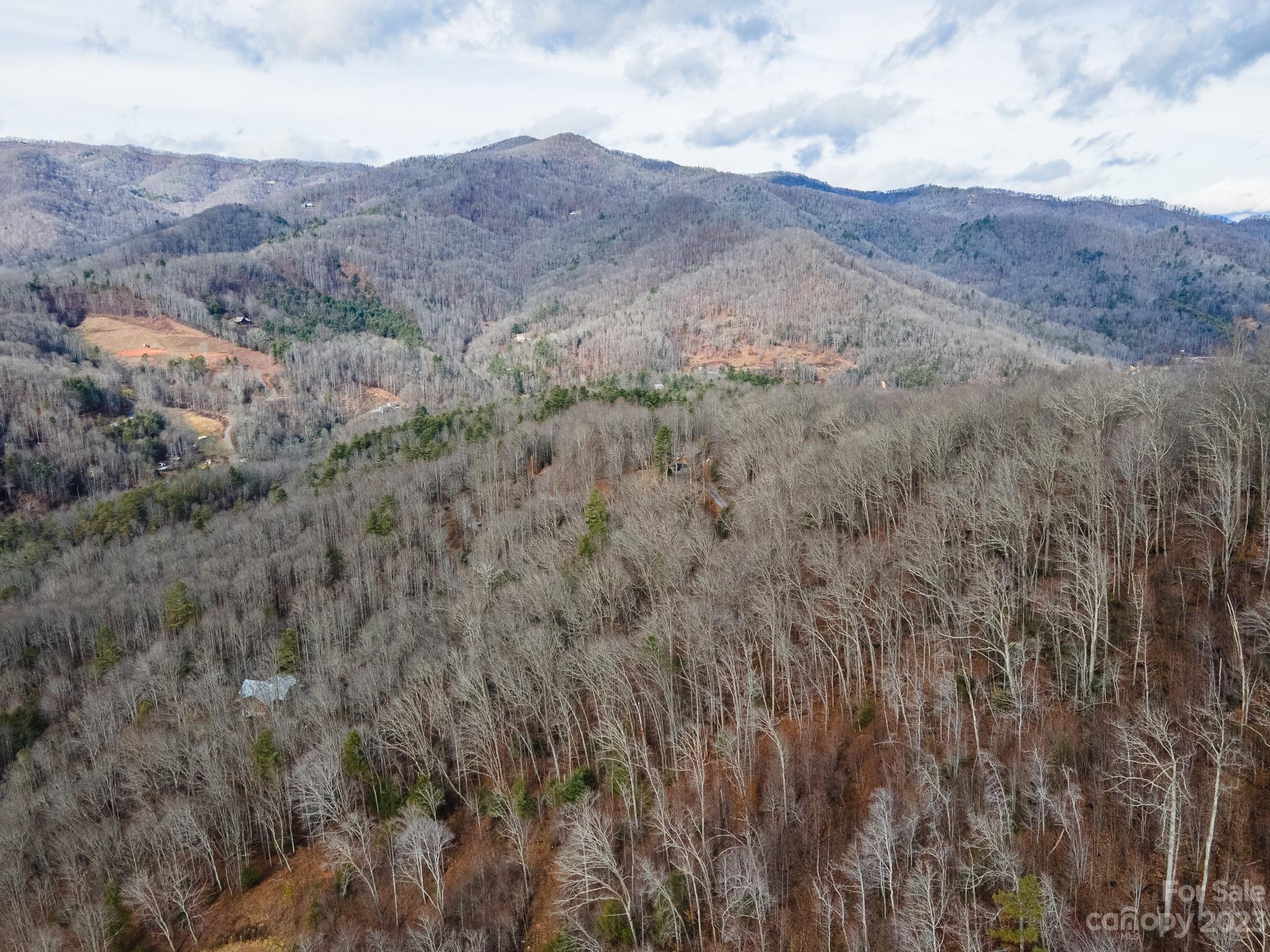 4 Lots Seay Mountain Road Property Photo 41