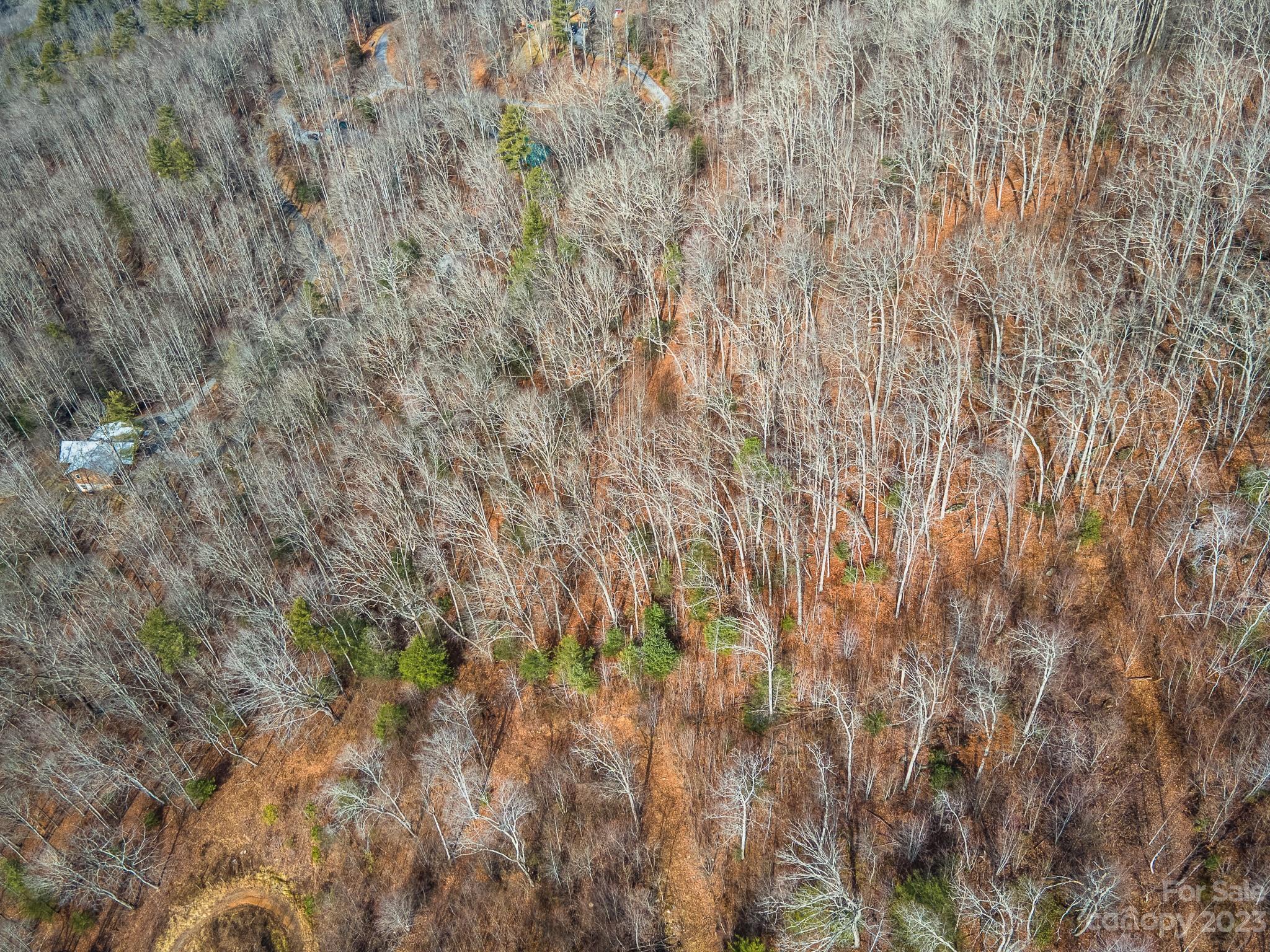 4 Lots Seay Mountain Road Property Photo 43