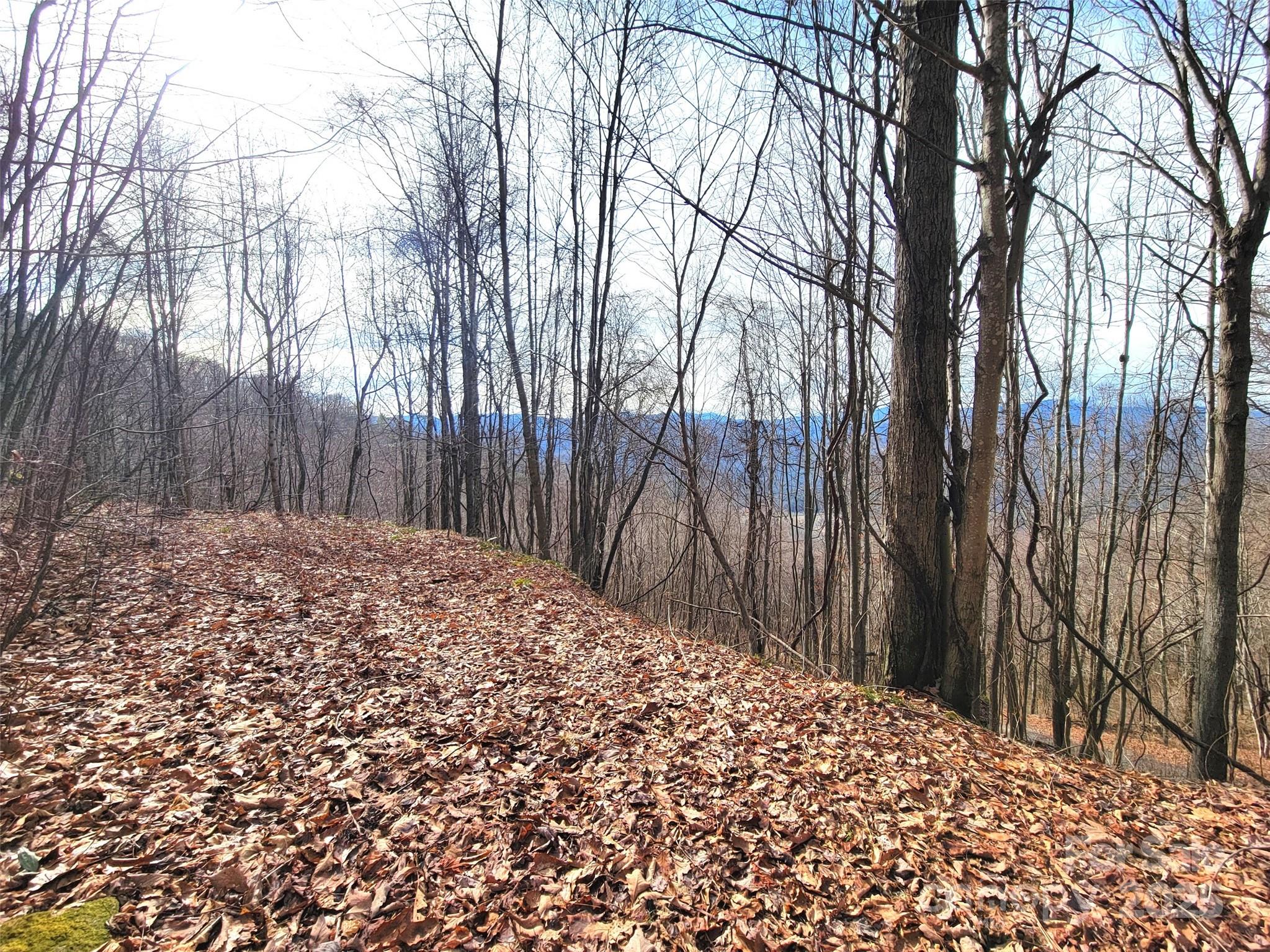 75 Rimrock Ridge I Property Photo 4