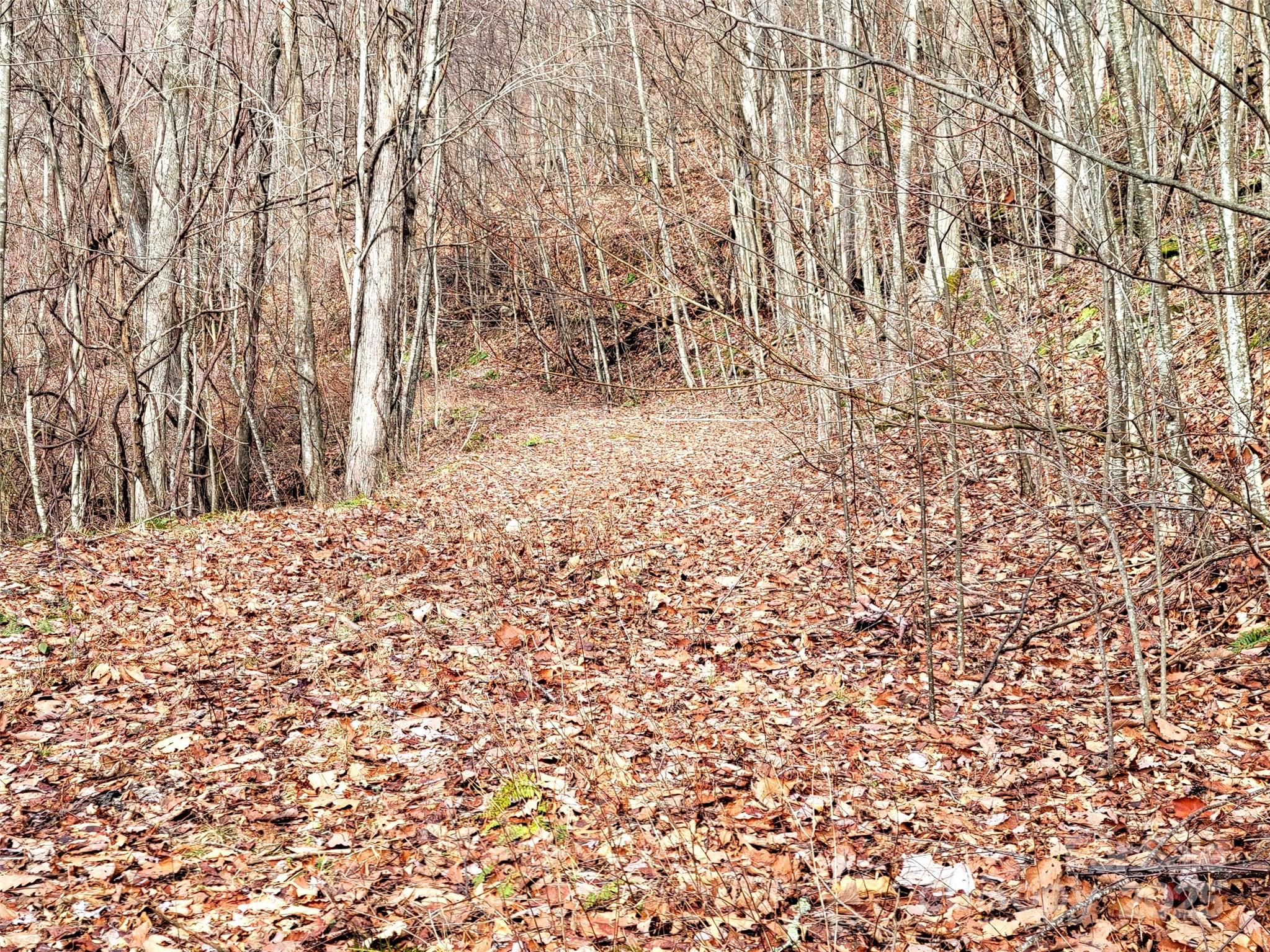 75 Rimrock Ridge I Property Photo 7