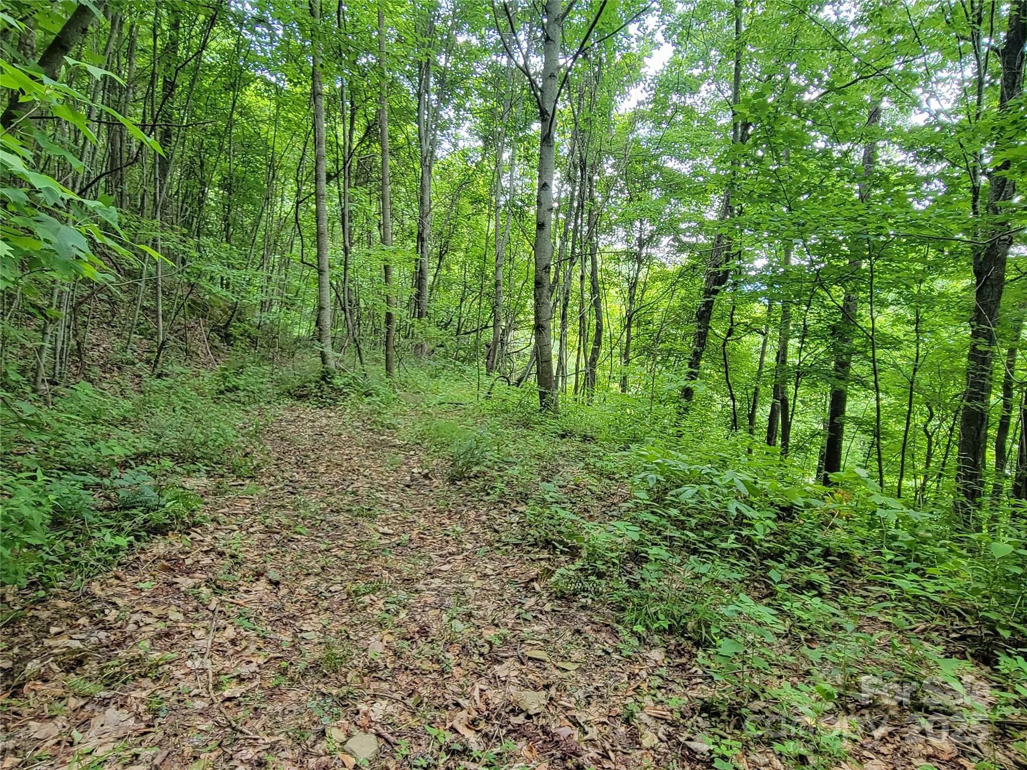 75 Rimrock Ridge I Property Photo 9