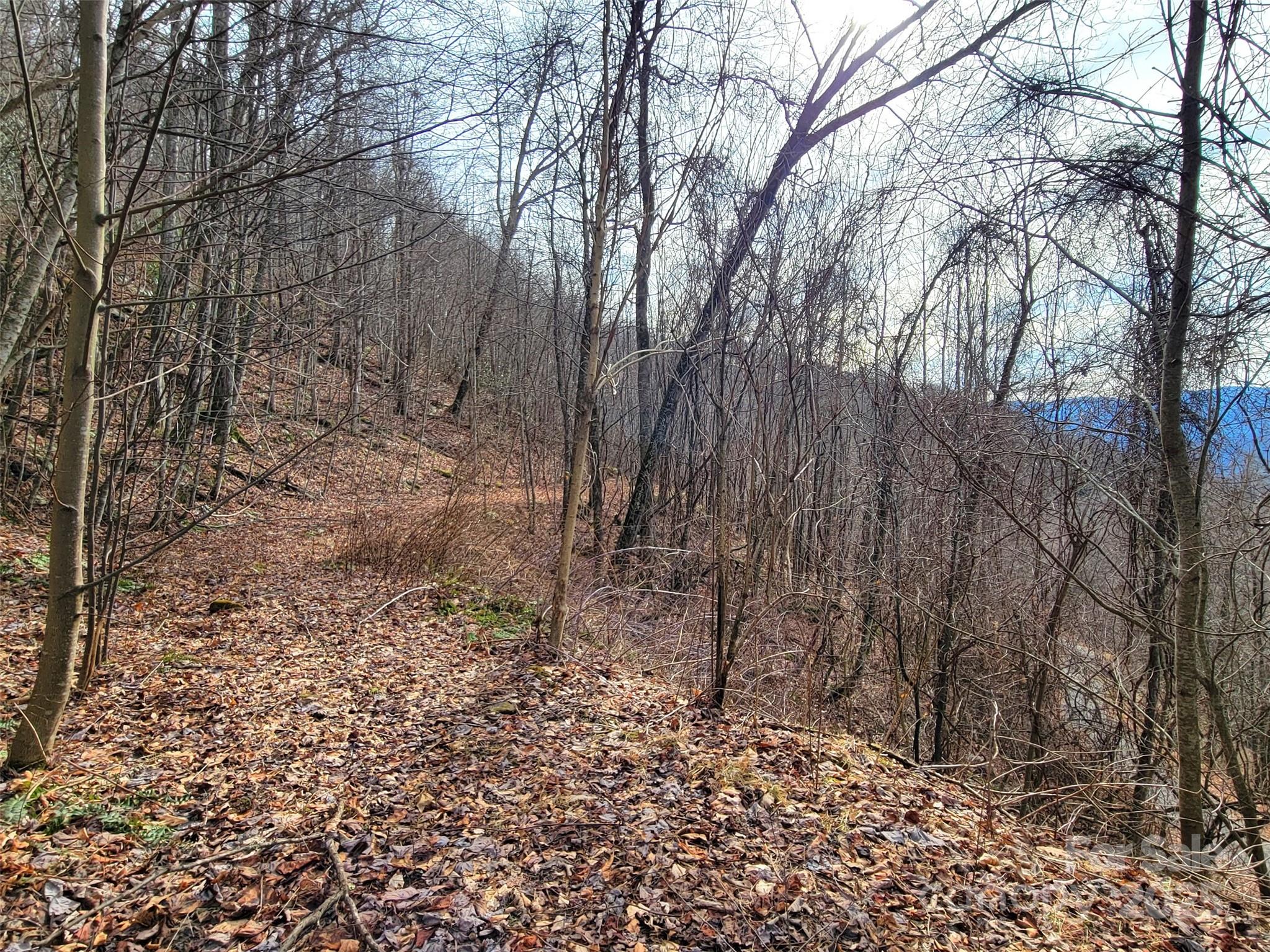 75 Rimrock Ridge I Property Photo 13