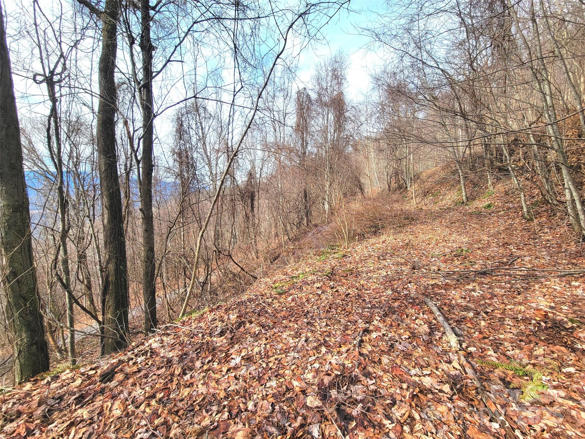 75 Rimrock Ridge I Property Photo 14