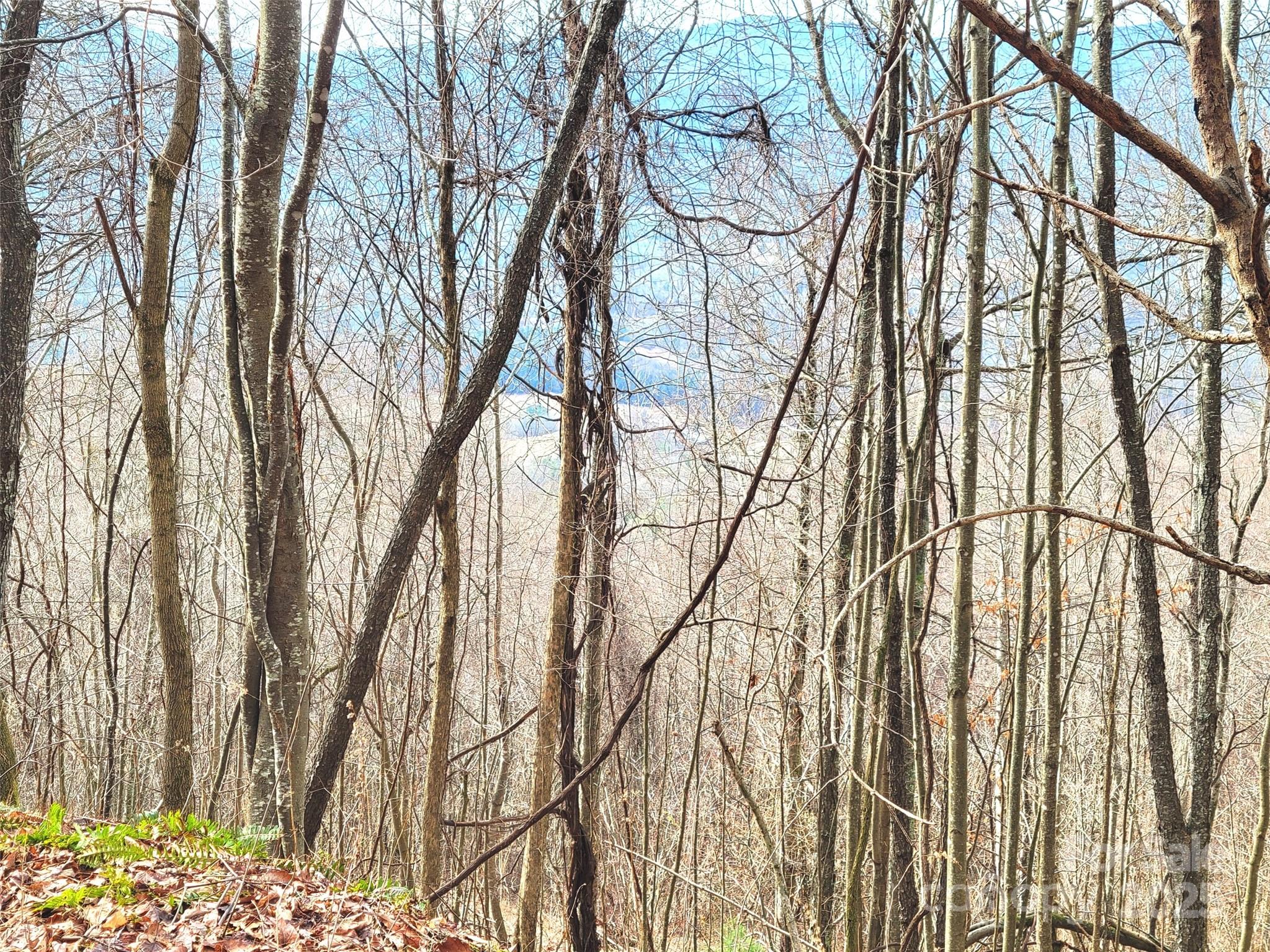 75 Rimrock Ridge I Property Photo 15