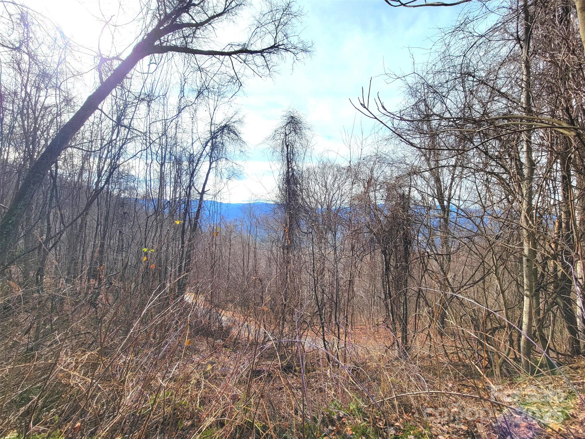 75 Rimrock Ridge I Property Photo 16