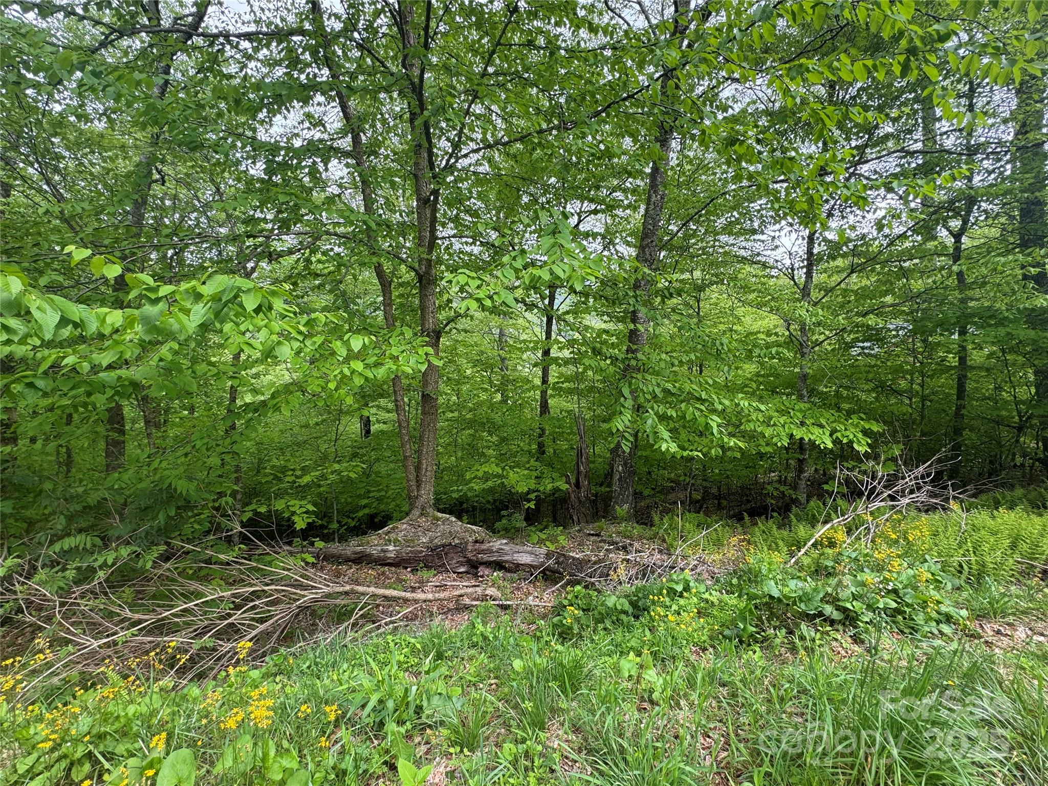 22 Zebulon Lane Property Photo 1