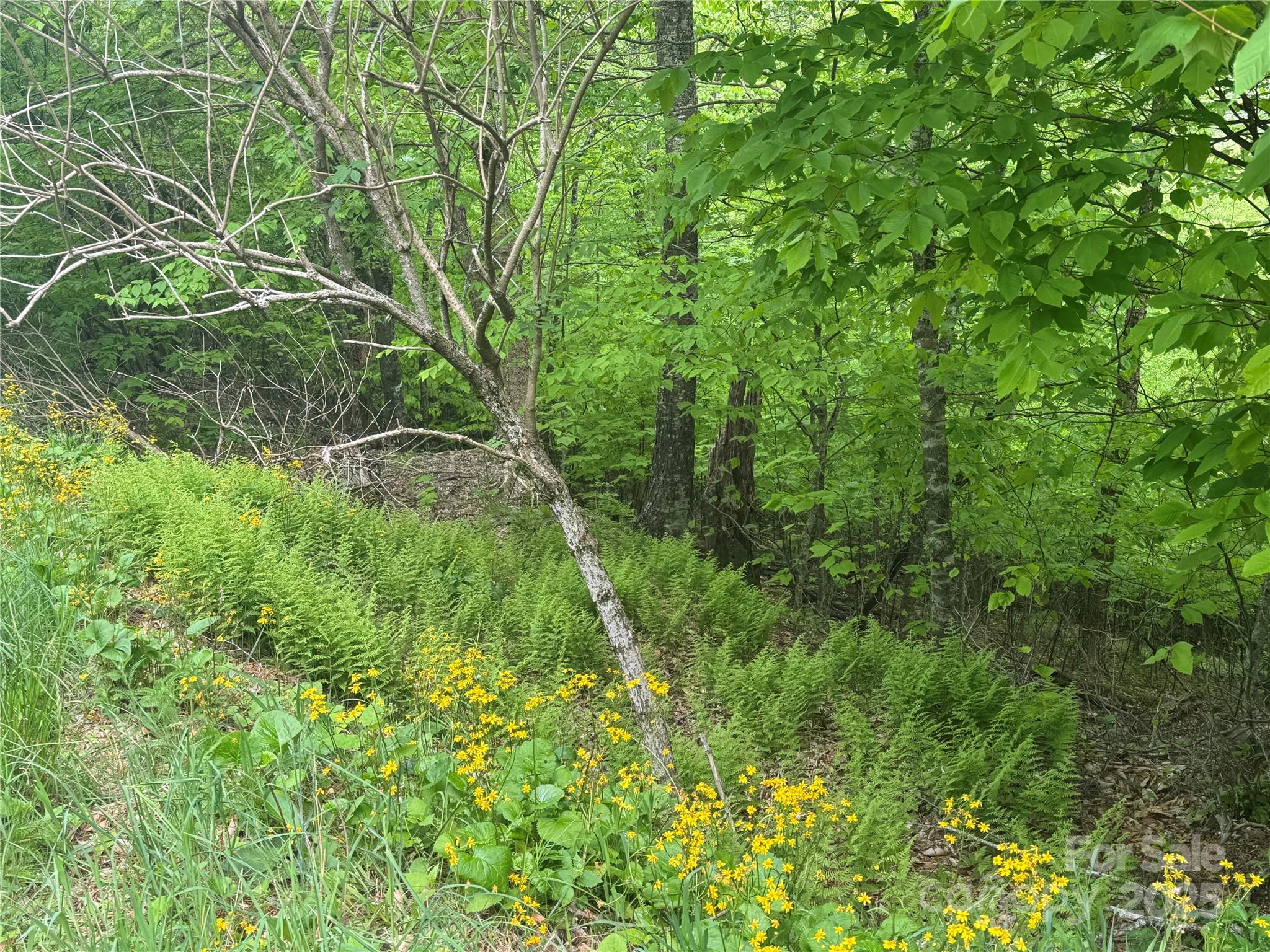22 Zebulon Lane Property Photo 2