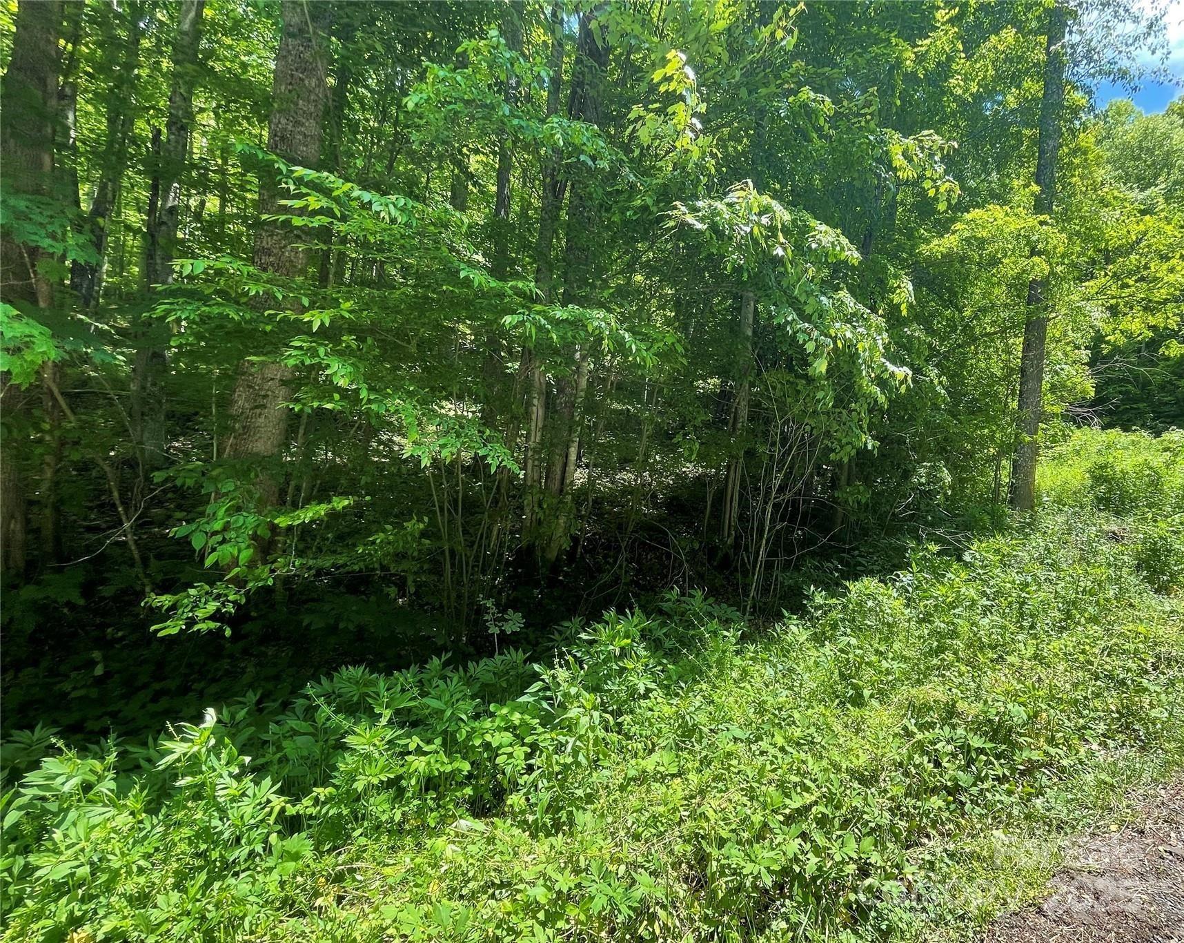 22 Zebulon Lane Property Photo 4
