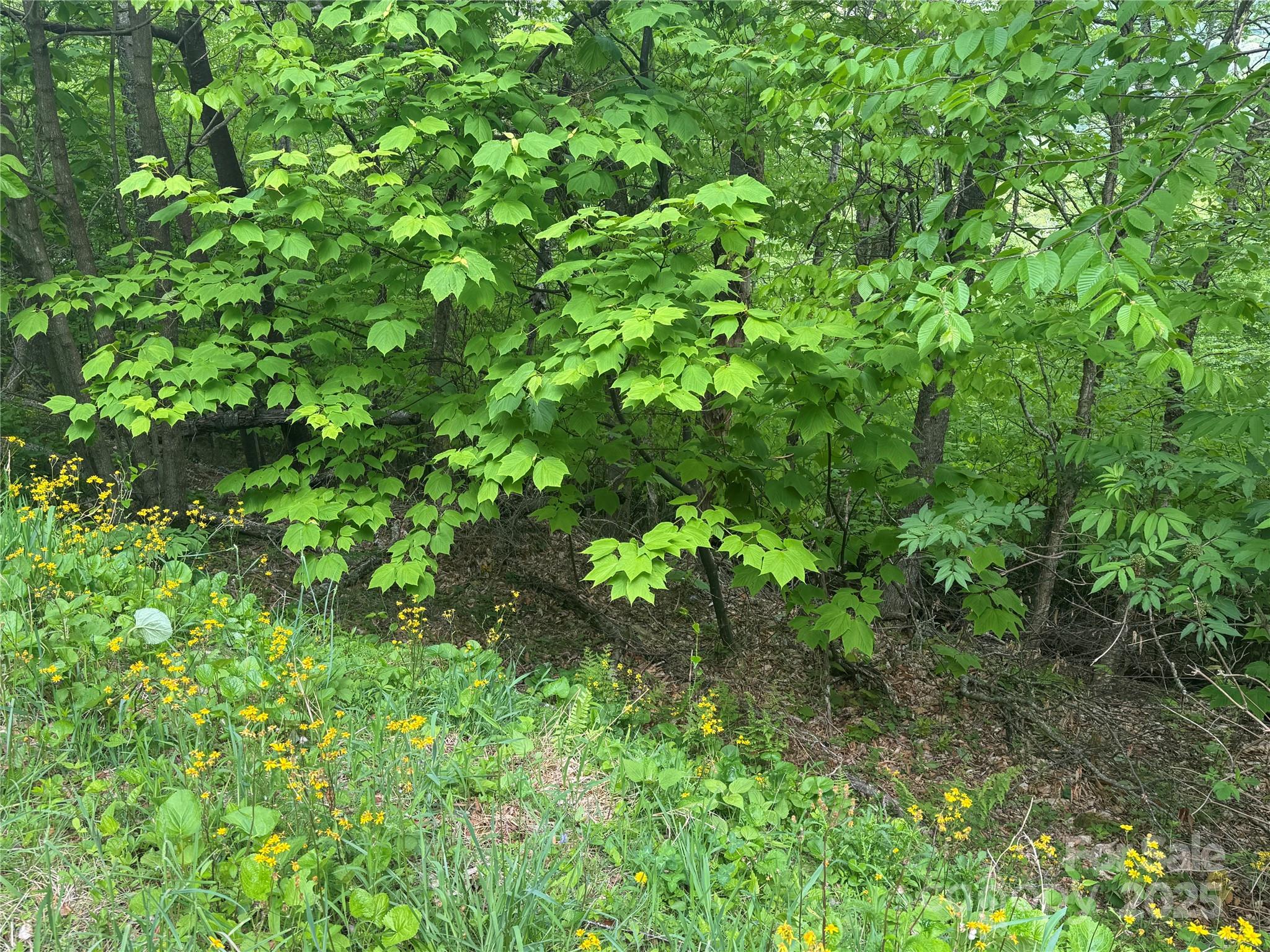 22 Zebulon Lane Property Photo 7