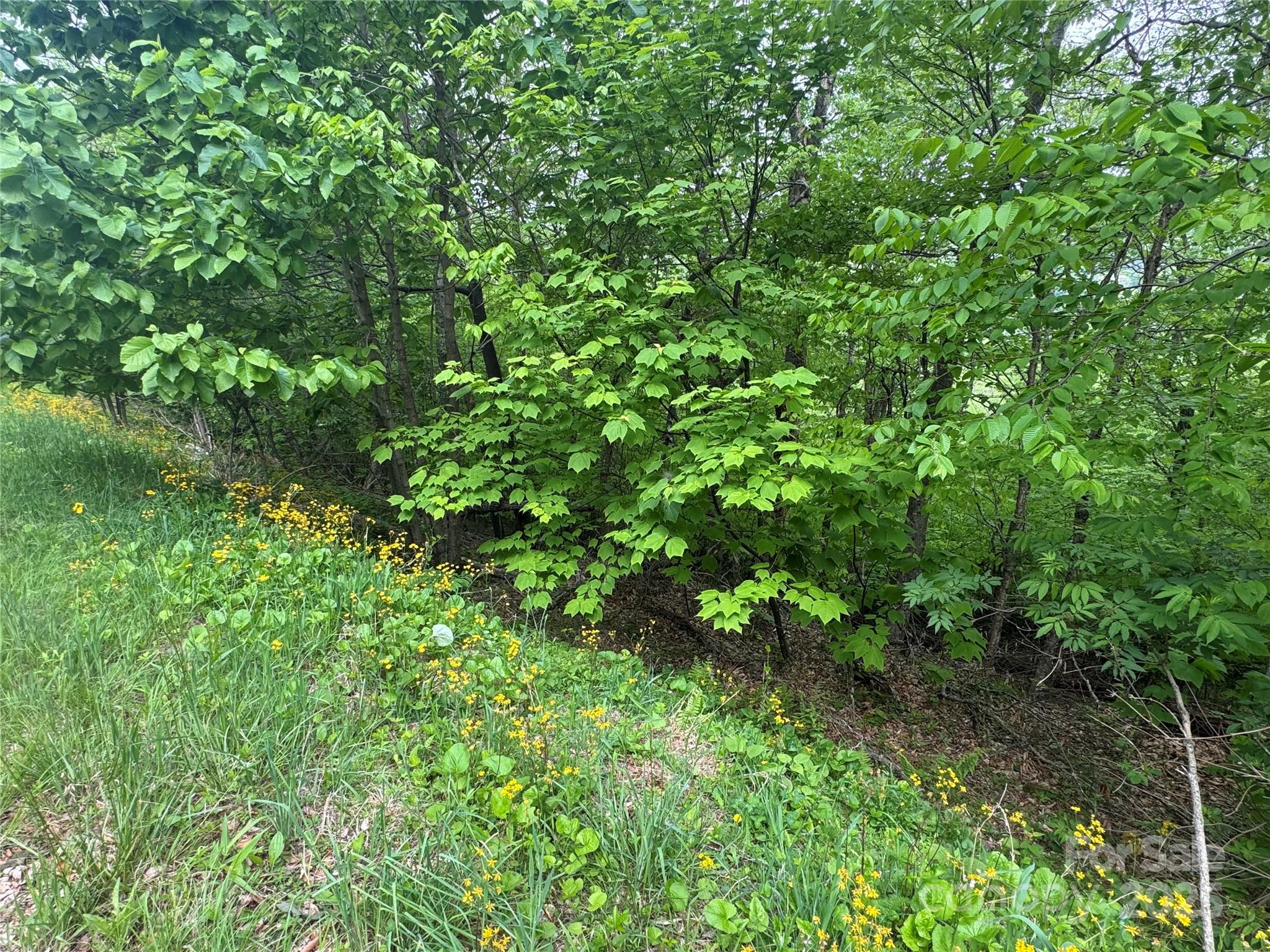 22 Zebulon Lane Property Photo 8