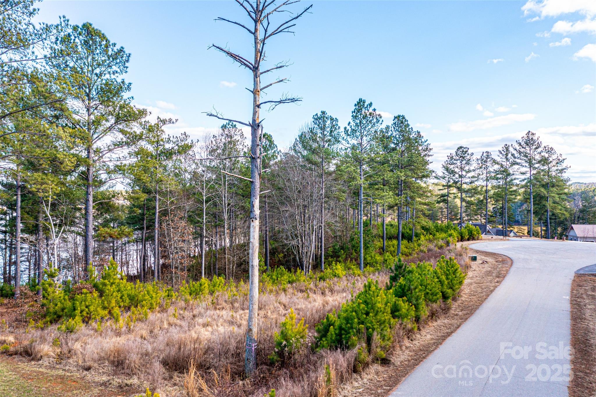 5883 Lake Ridge Court Property Photo 6